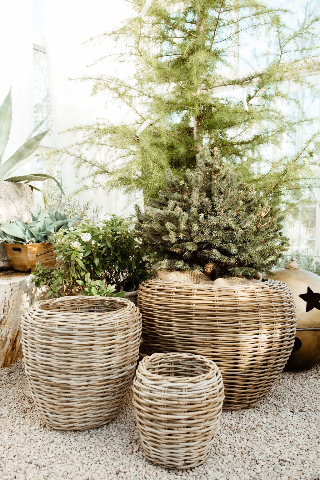 Rattan Garden Baskets