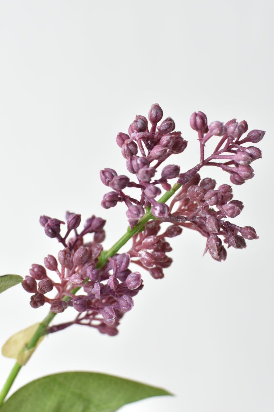 34.5" Faux Vibrant Pink/Purple Lilac Stem