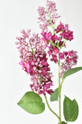 34.5" Faux Vibrant Pink/Purple Lilac Stem