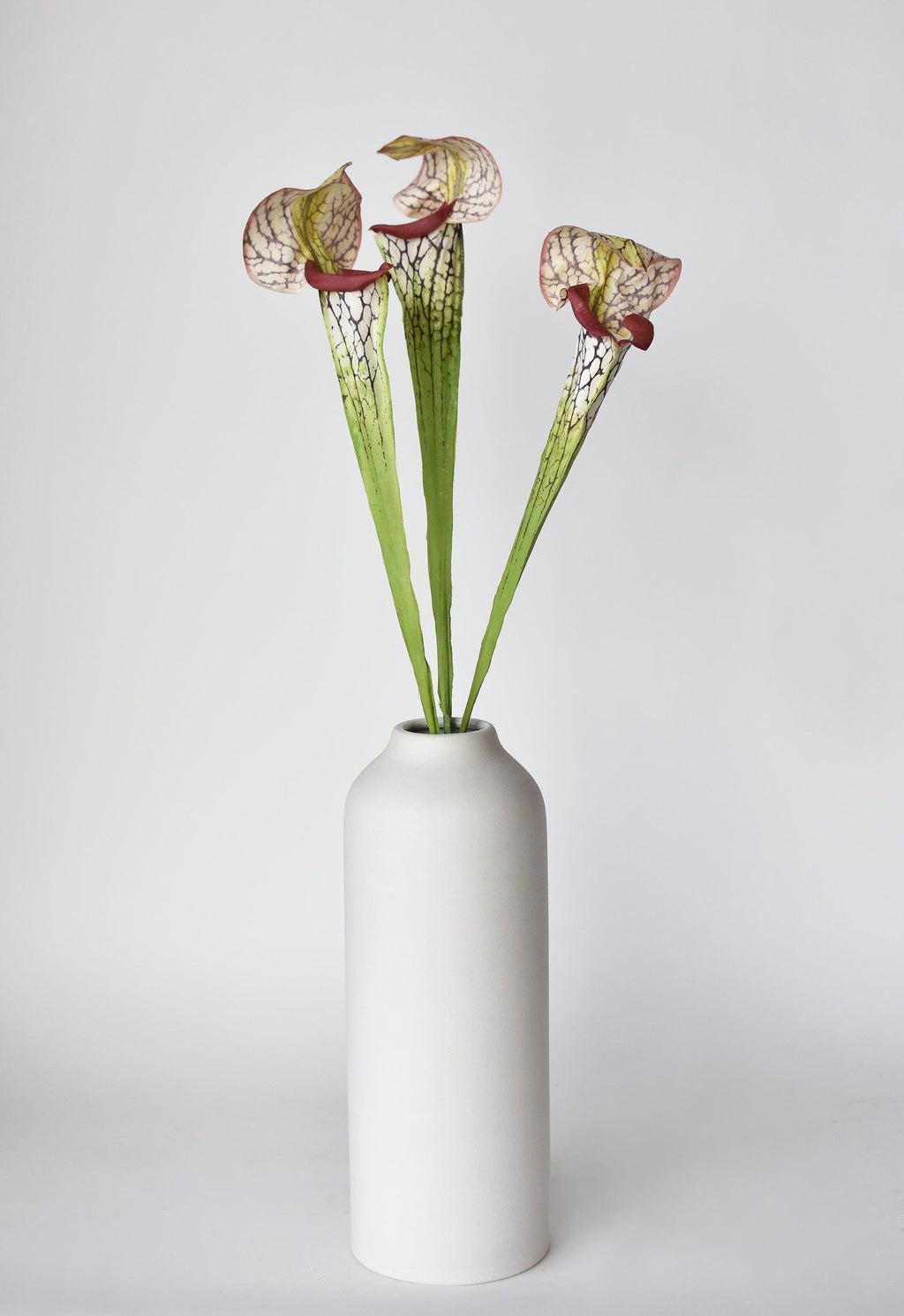 28" Faux Green/Burgundy Pitcher Plant Stem
