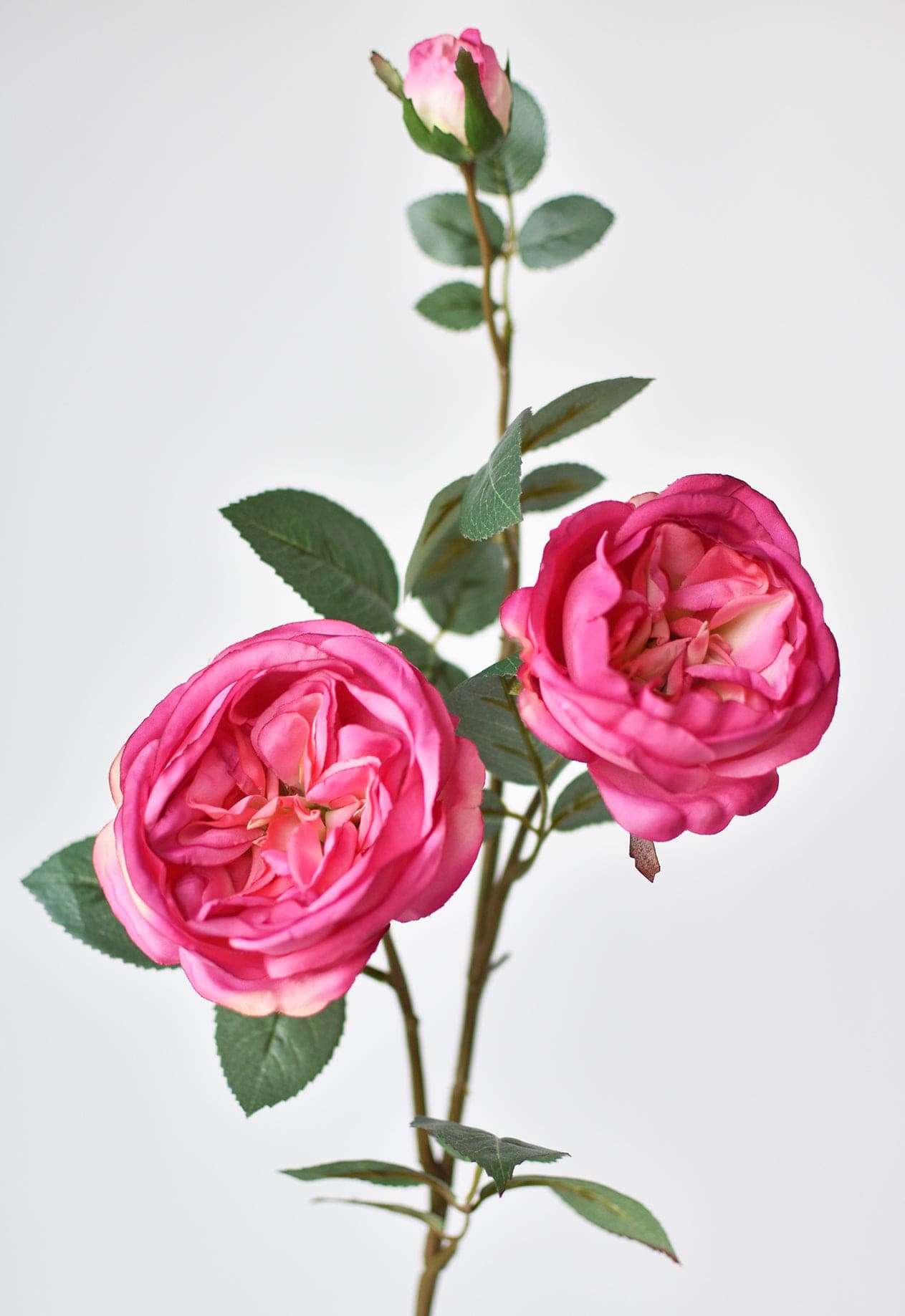 29" Faux Fuchsia Cabbage Rose Stem