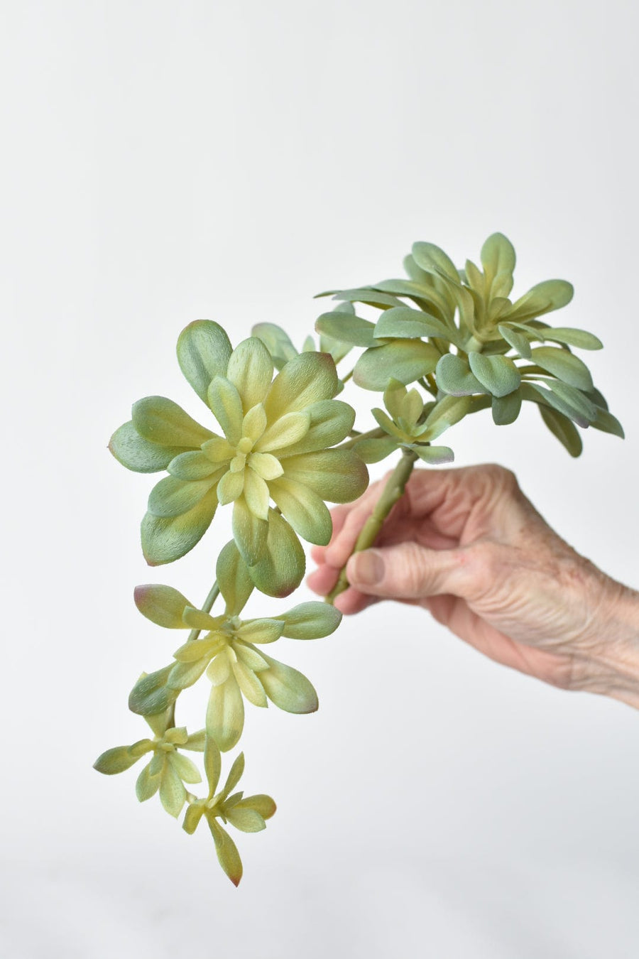 11.5" Faux Trailing Soft Aeonium Spray Stem