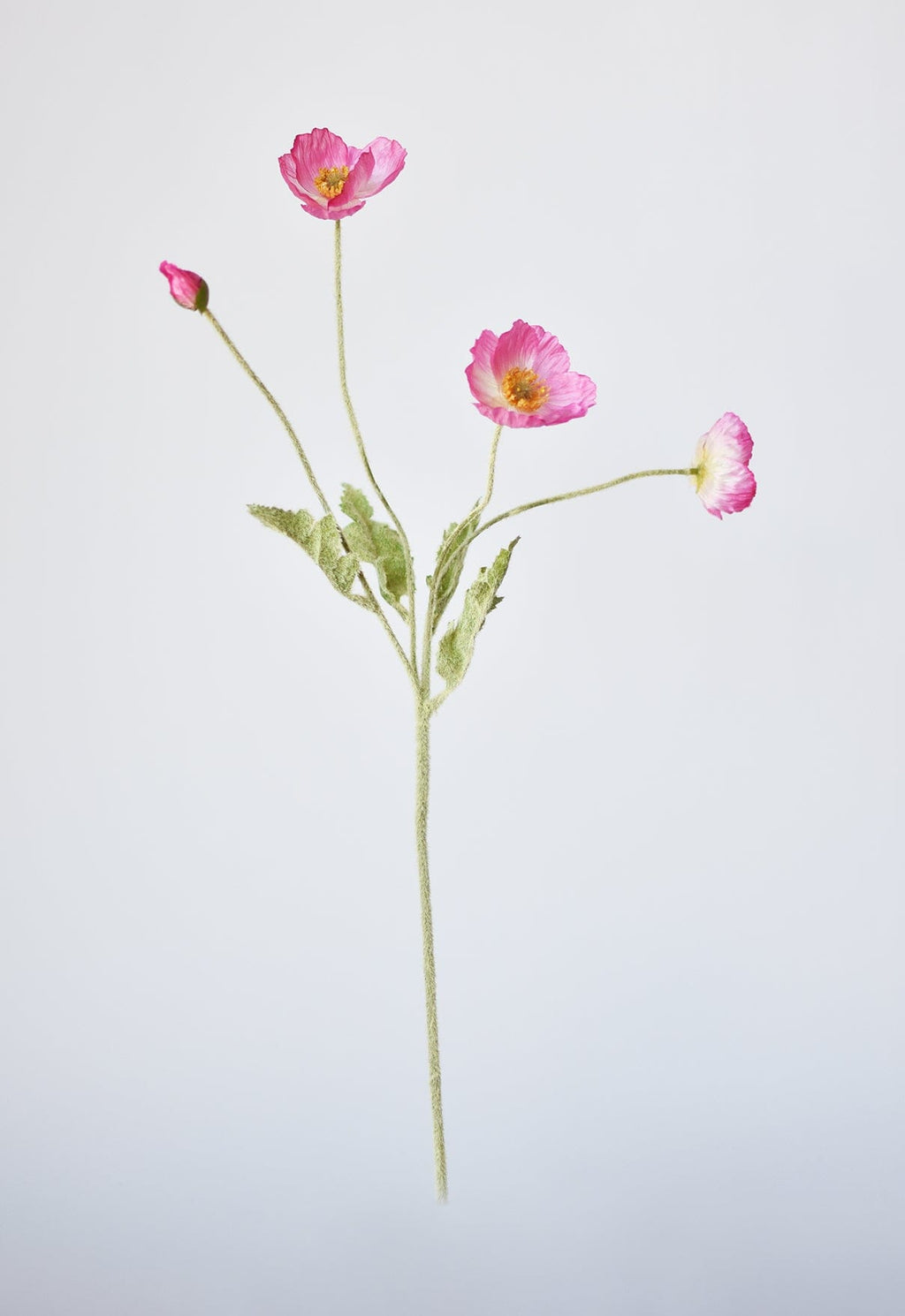 24" Faux Pink Poppy Stem