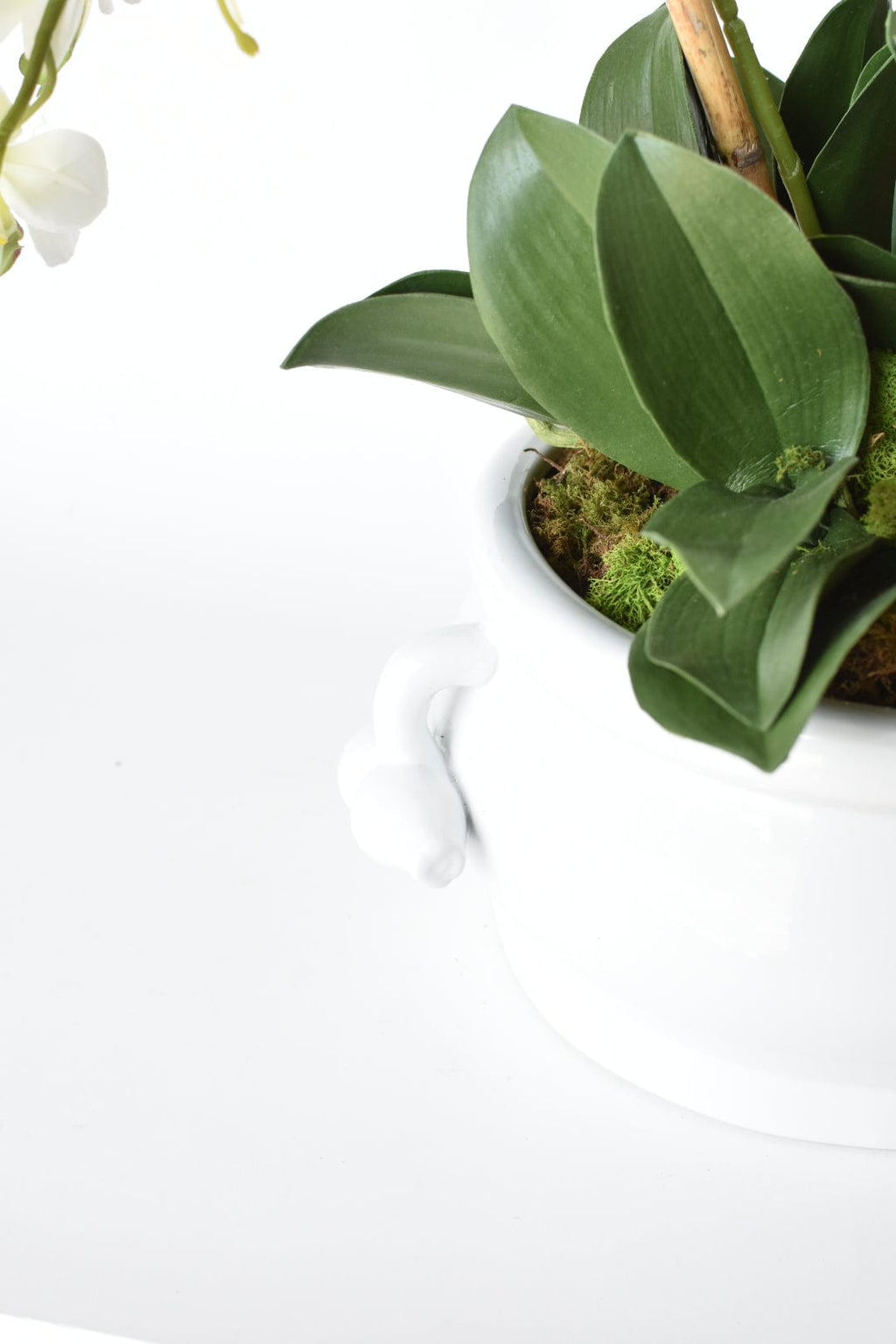 Creamware Oval Cachepot with Pomegranate