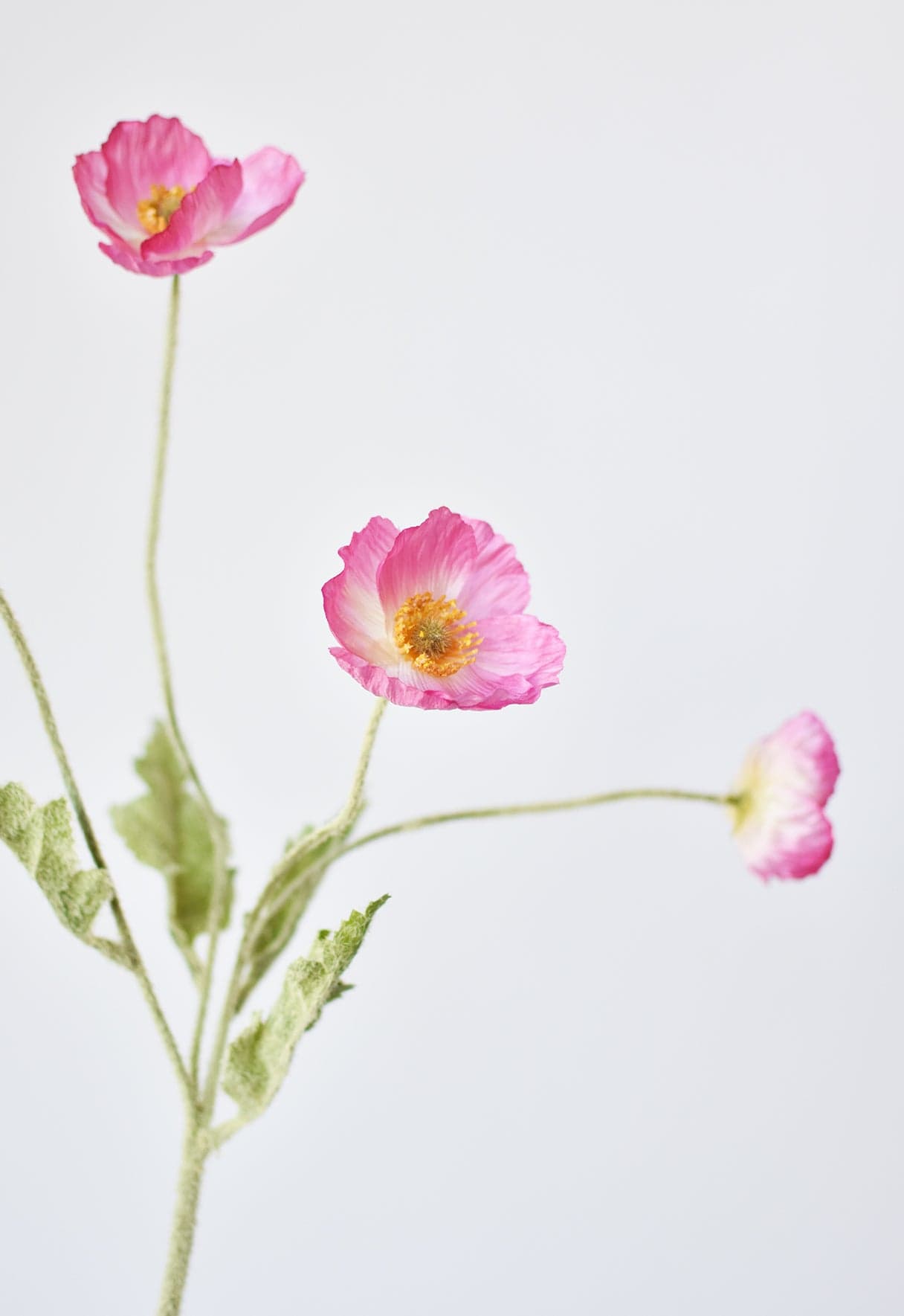 24" Faux Pink Poppy Stem
