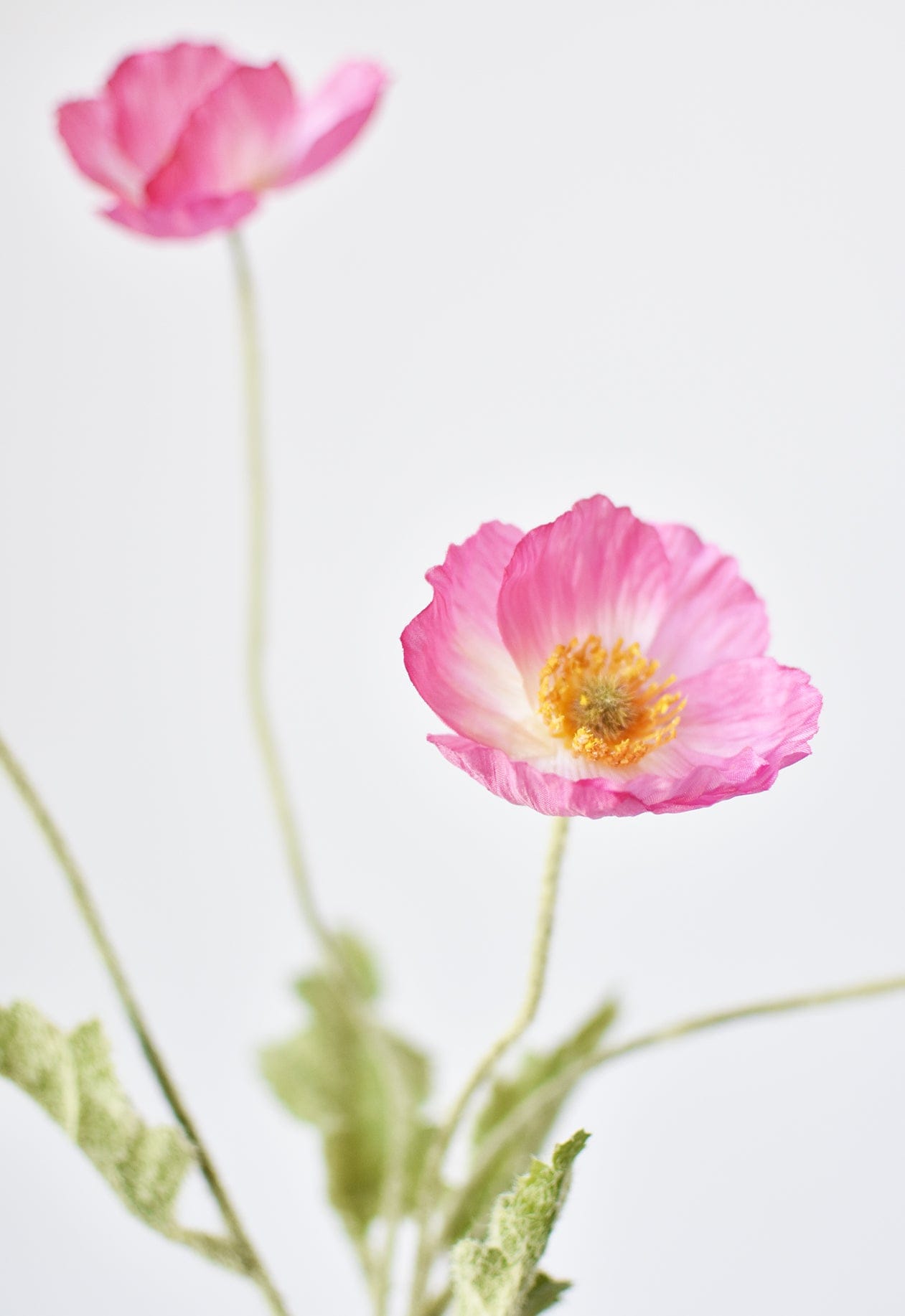 24" Faux Pink Poppy Stem