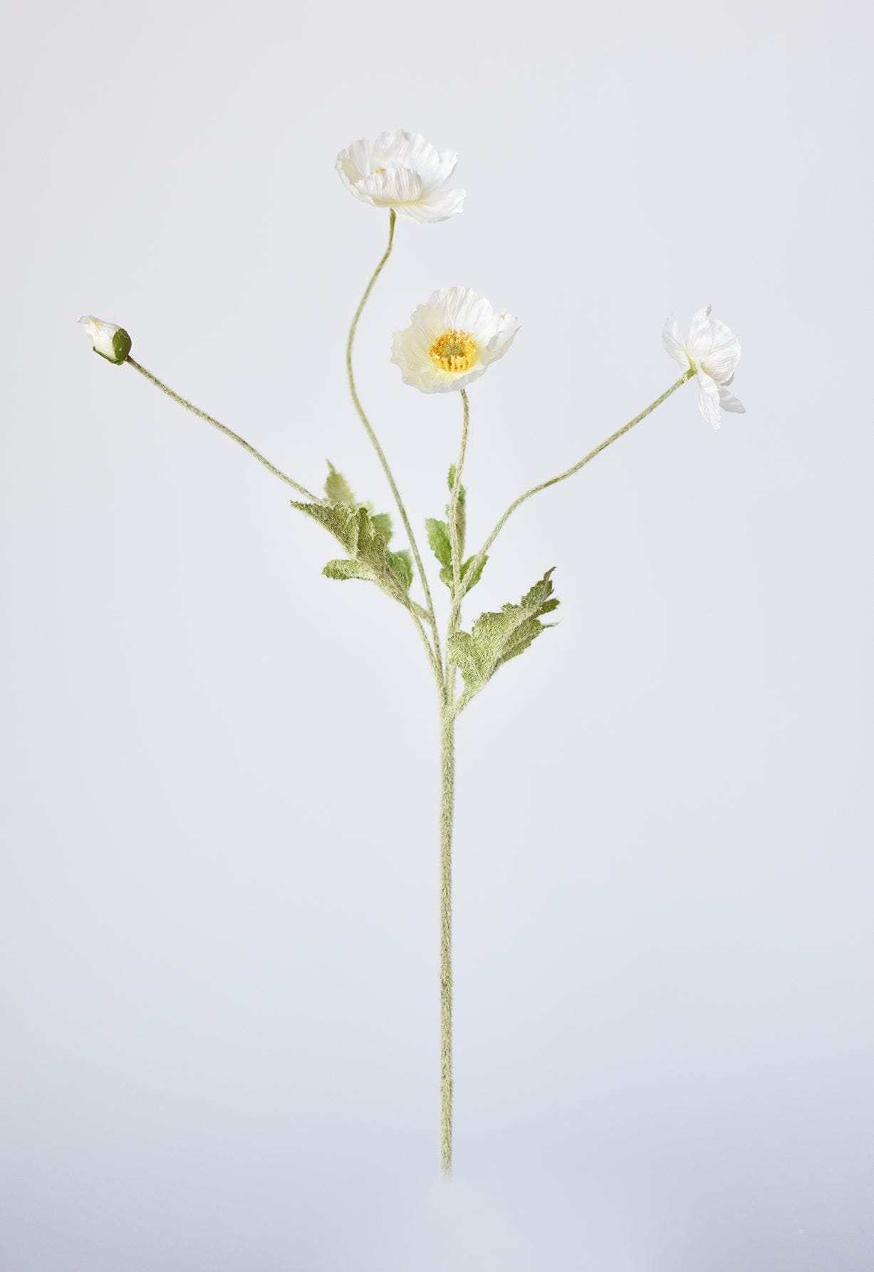 24" Faux White Poppy Stem