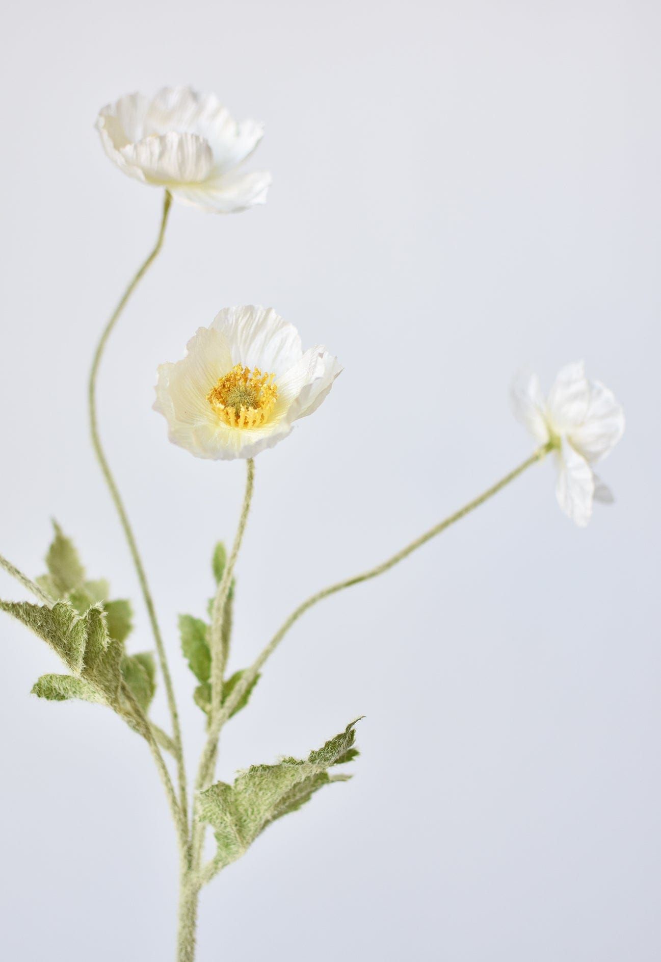 24" Faux White Poppy Stem