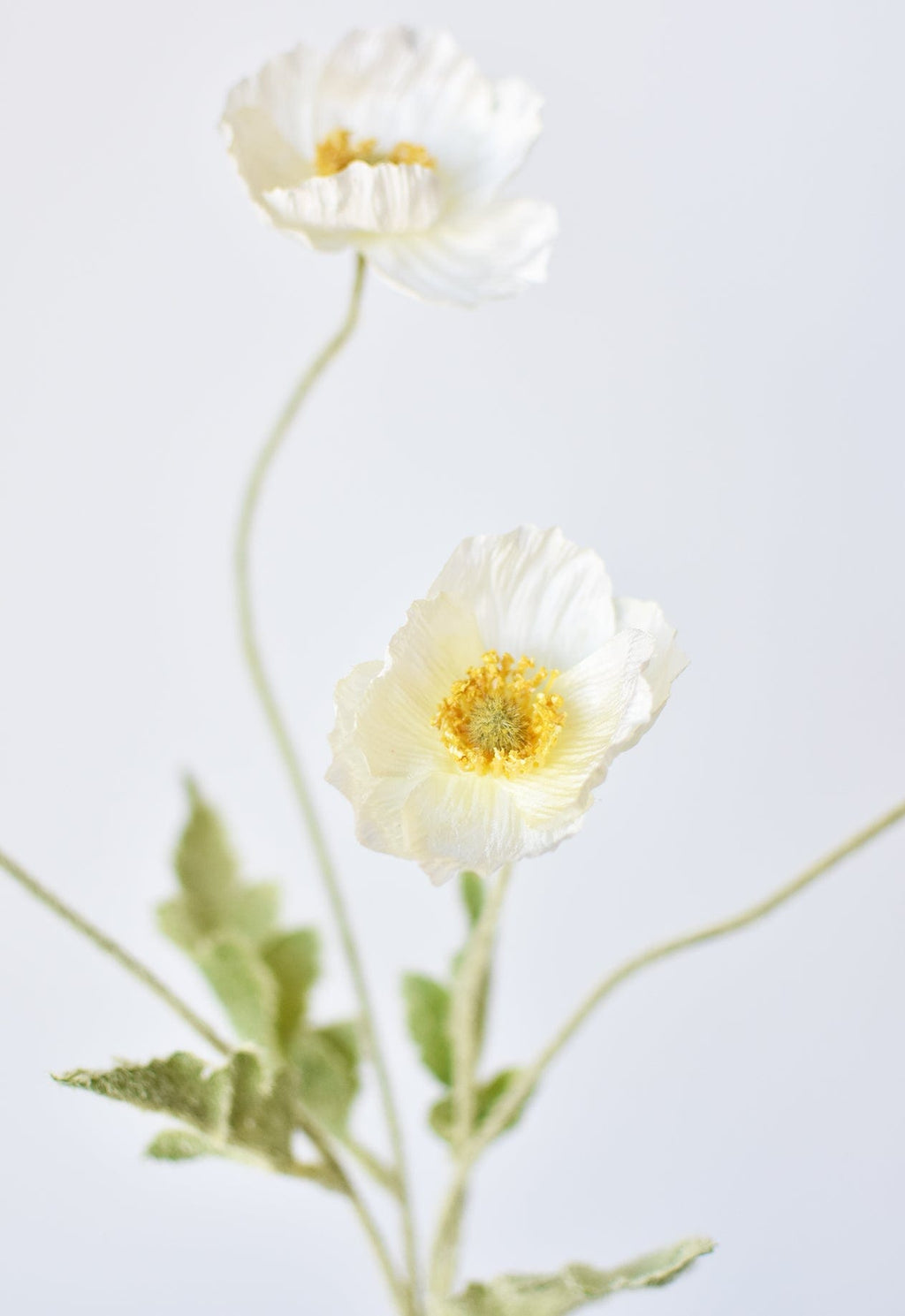 24" Faux White Poppy Stem