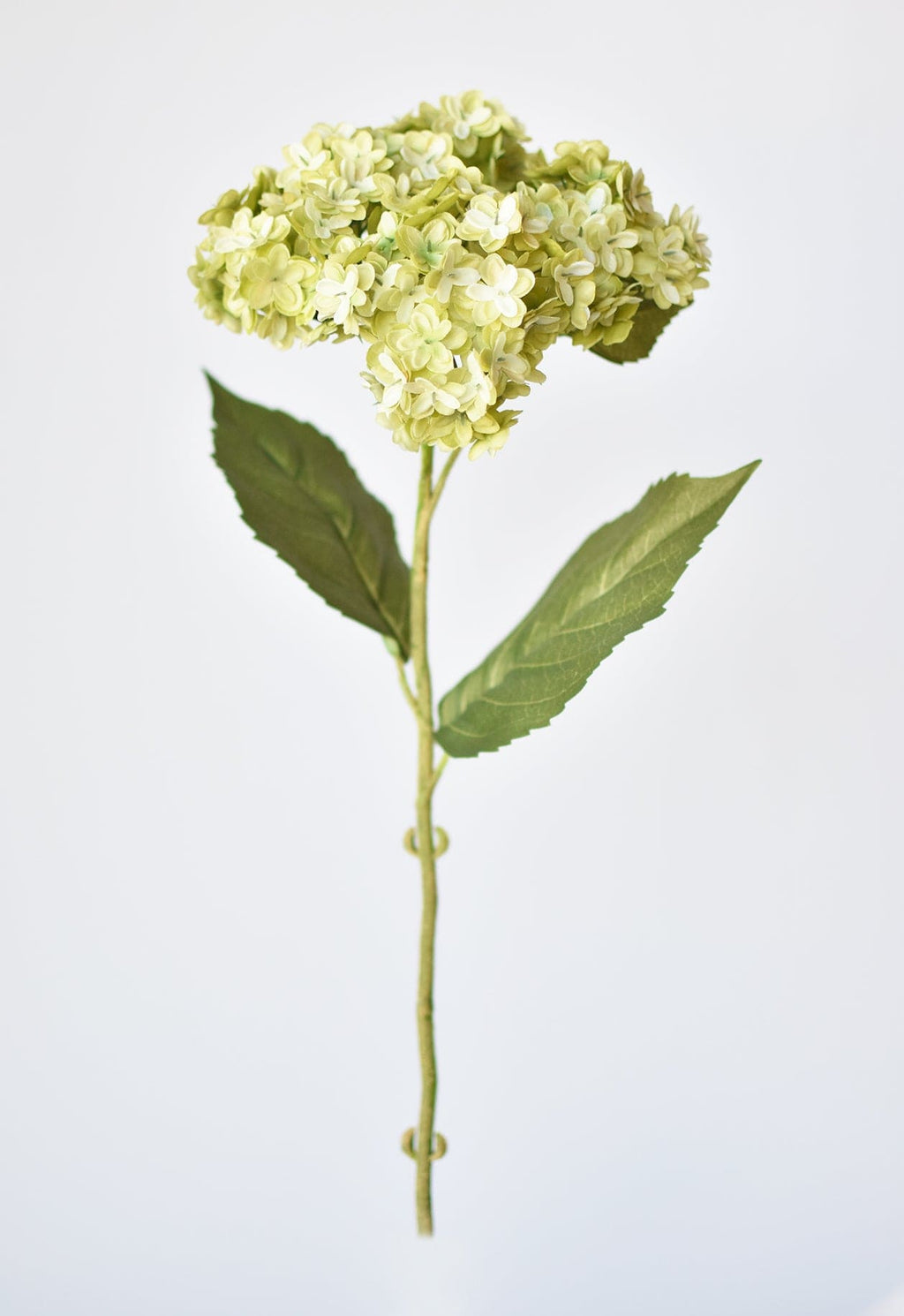 25" Faux Hydrangea Stem Apple Green