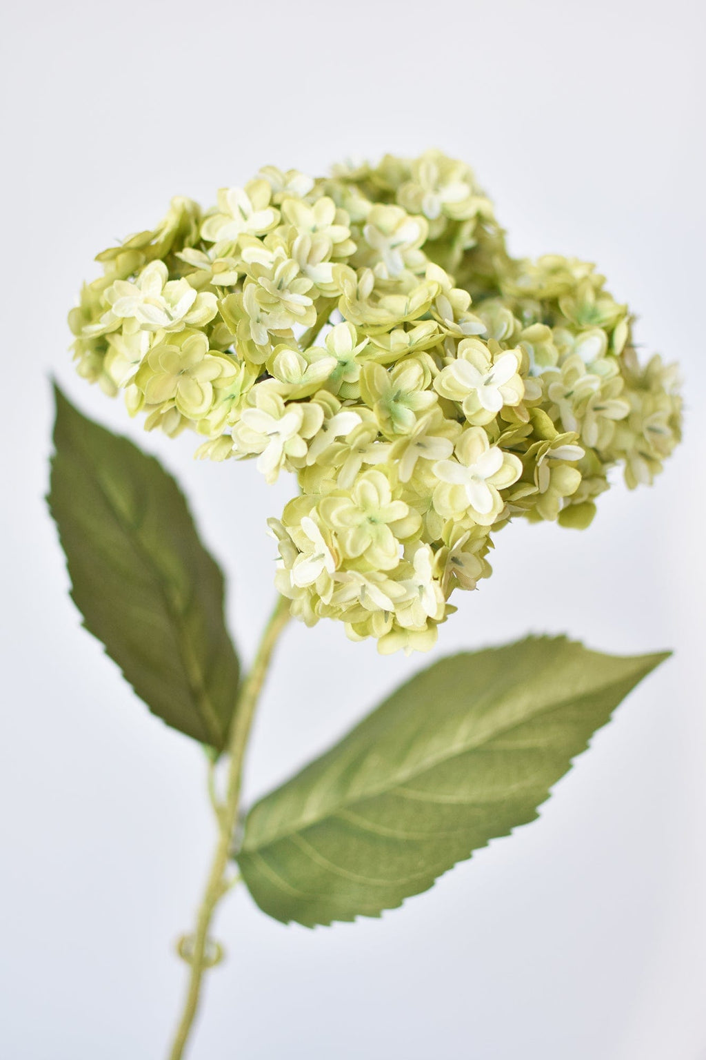 25" Faux Hydrangea Stem Apple Green