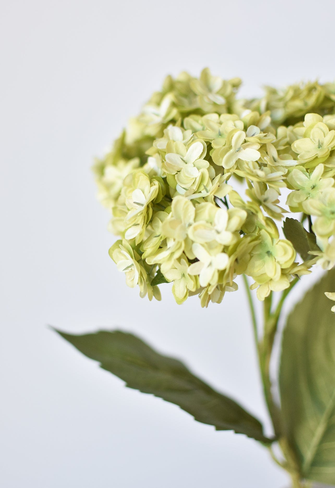 25" Faux Hydrangea Stem Apple Green