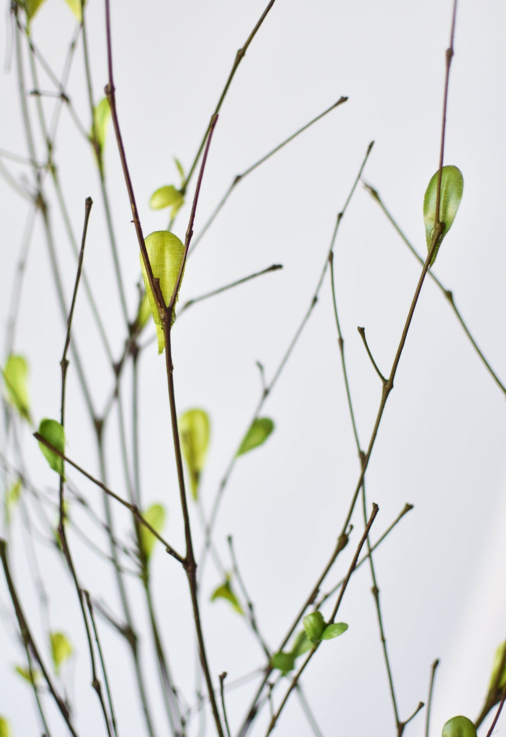 26" Branches with Faux Green Leaves