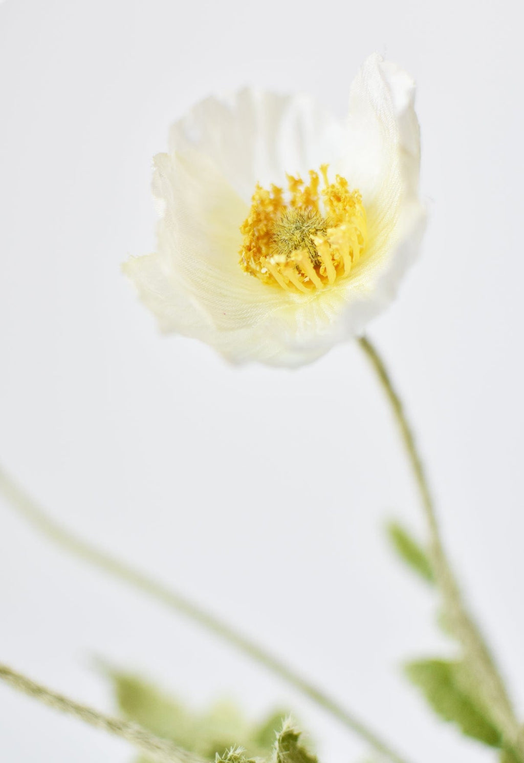 24" Faux White Poppy Stem