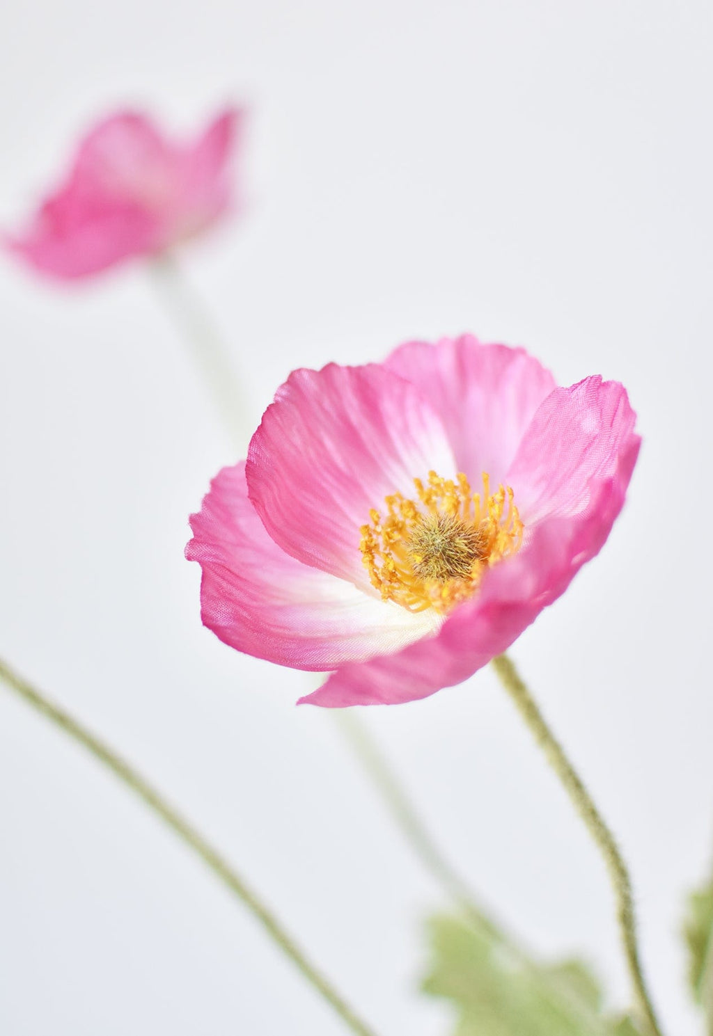 24" Faux Pink Poppy Stem