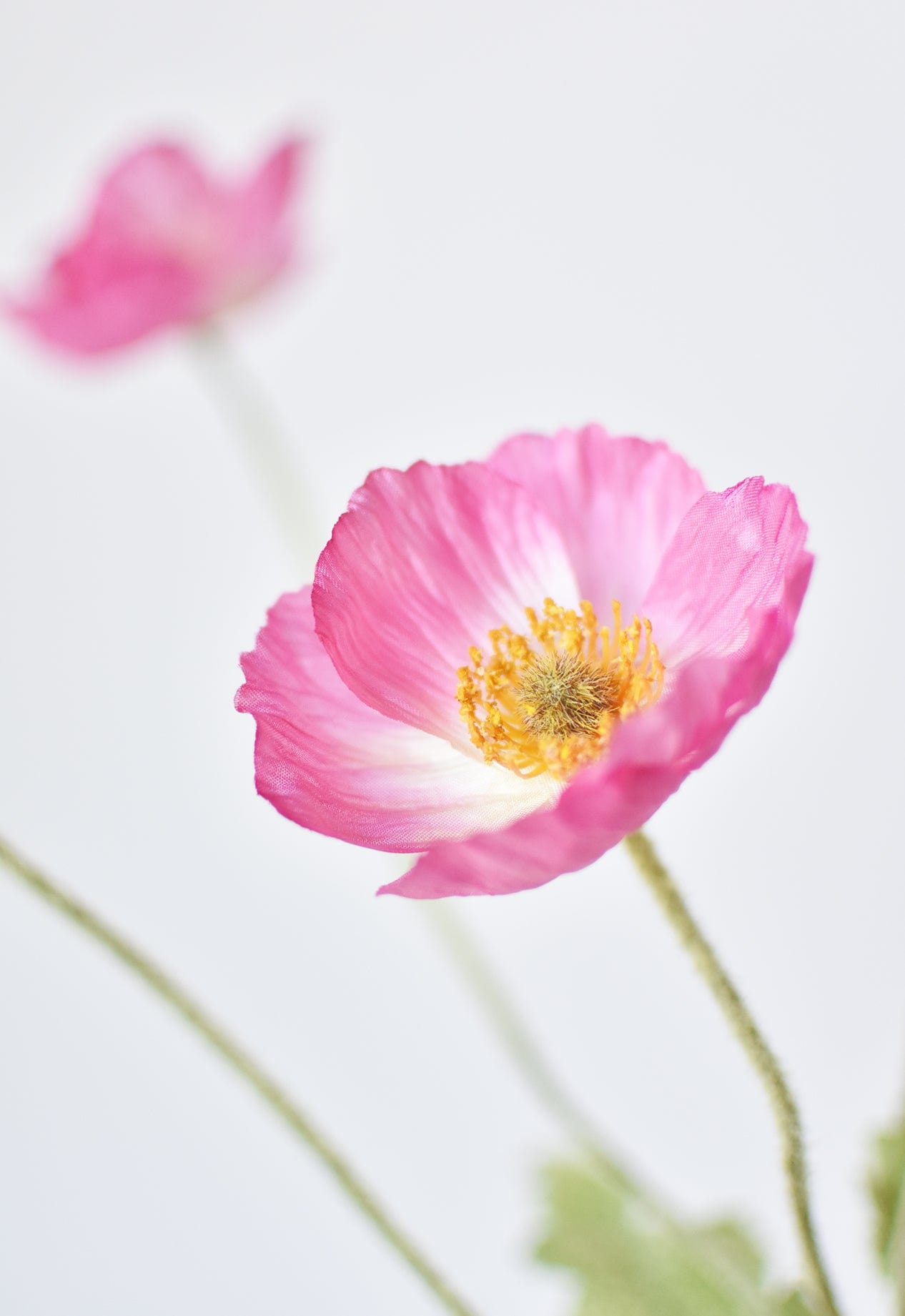 24" Faux Pink Poppy Stem