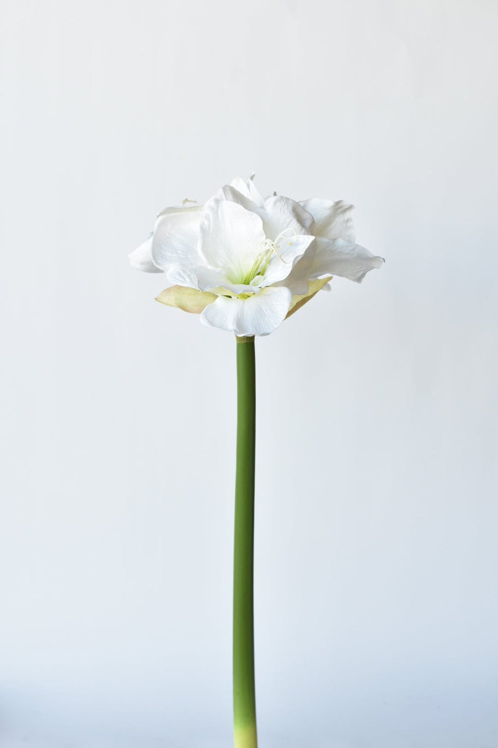 29" Faux White Amaryllis Stem