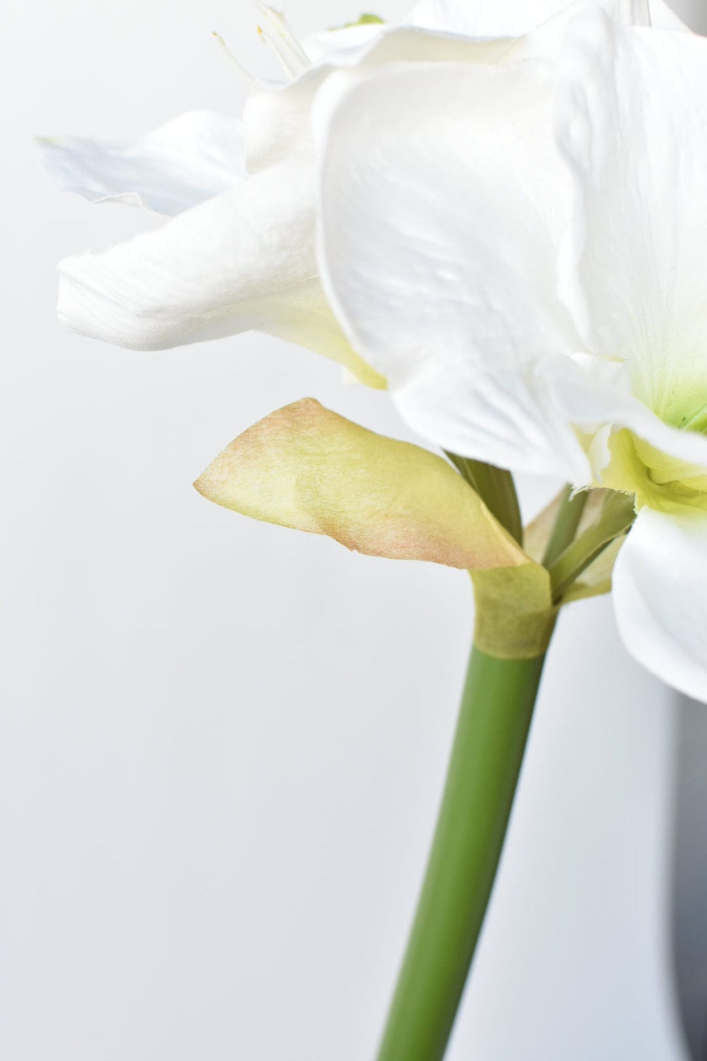 29" Faux White Amaryllis Stem