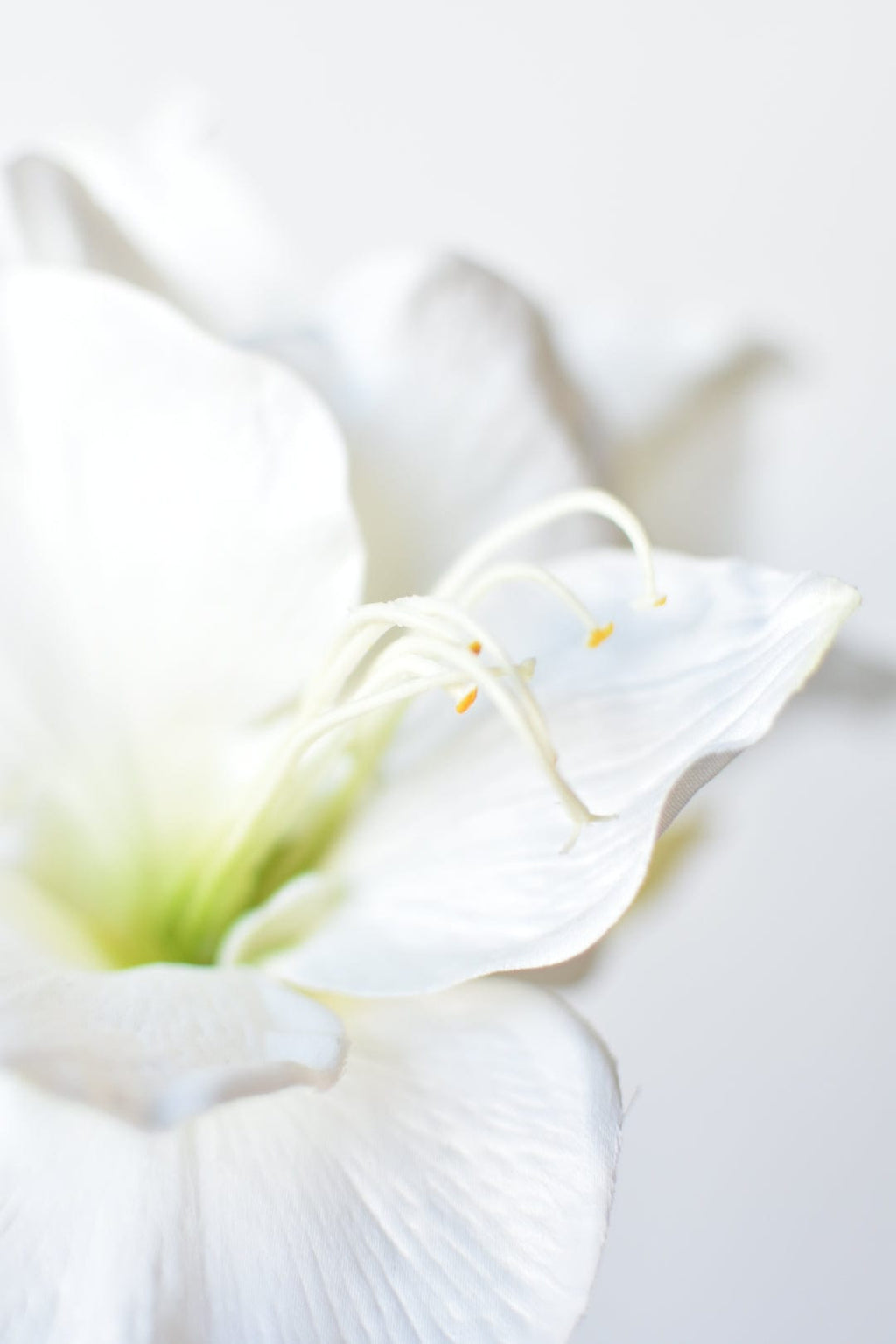 29" Faux White Amaryllis Stem