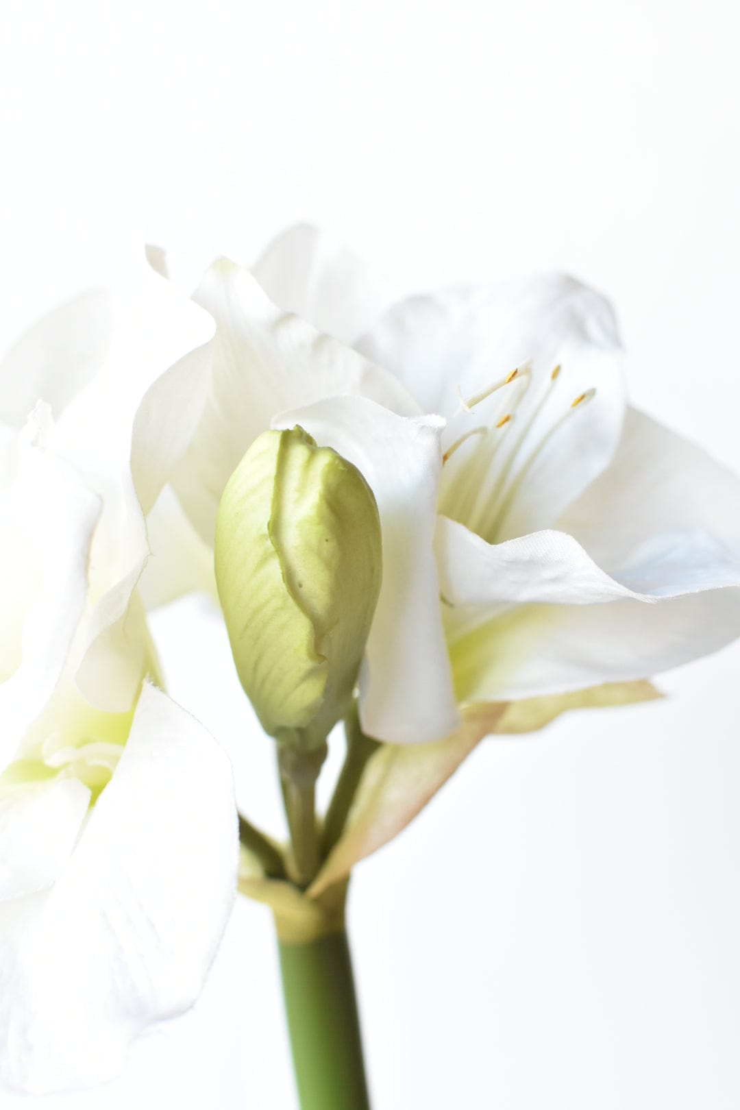 29" Faux White Amaryllis Stem