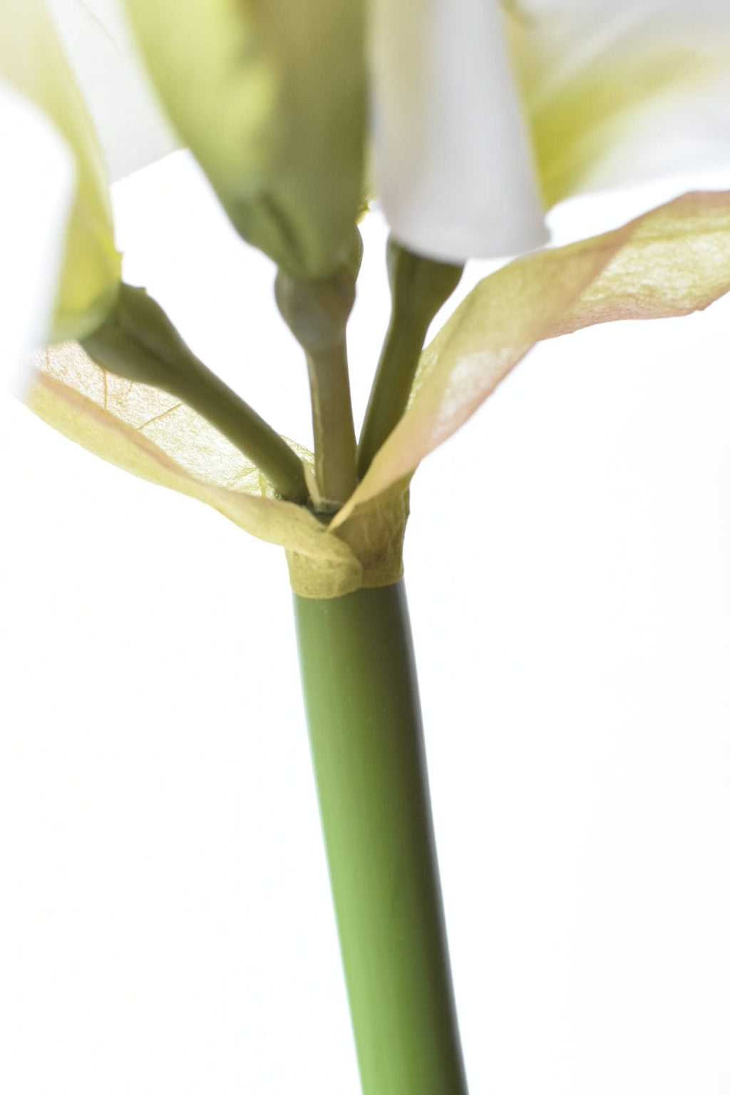 29" Faux White Amaryllis Stem