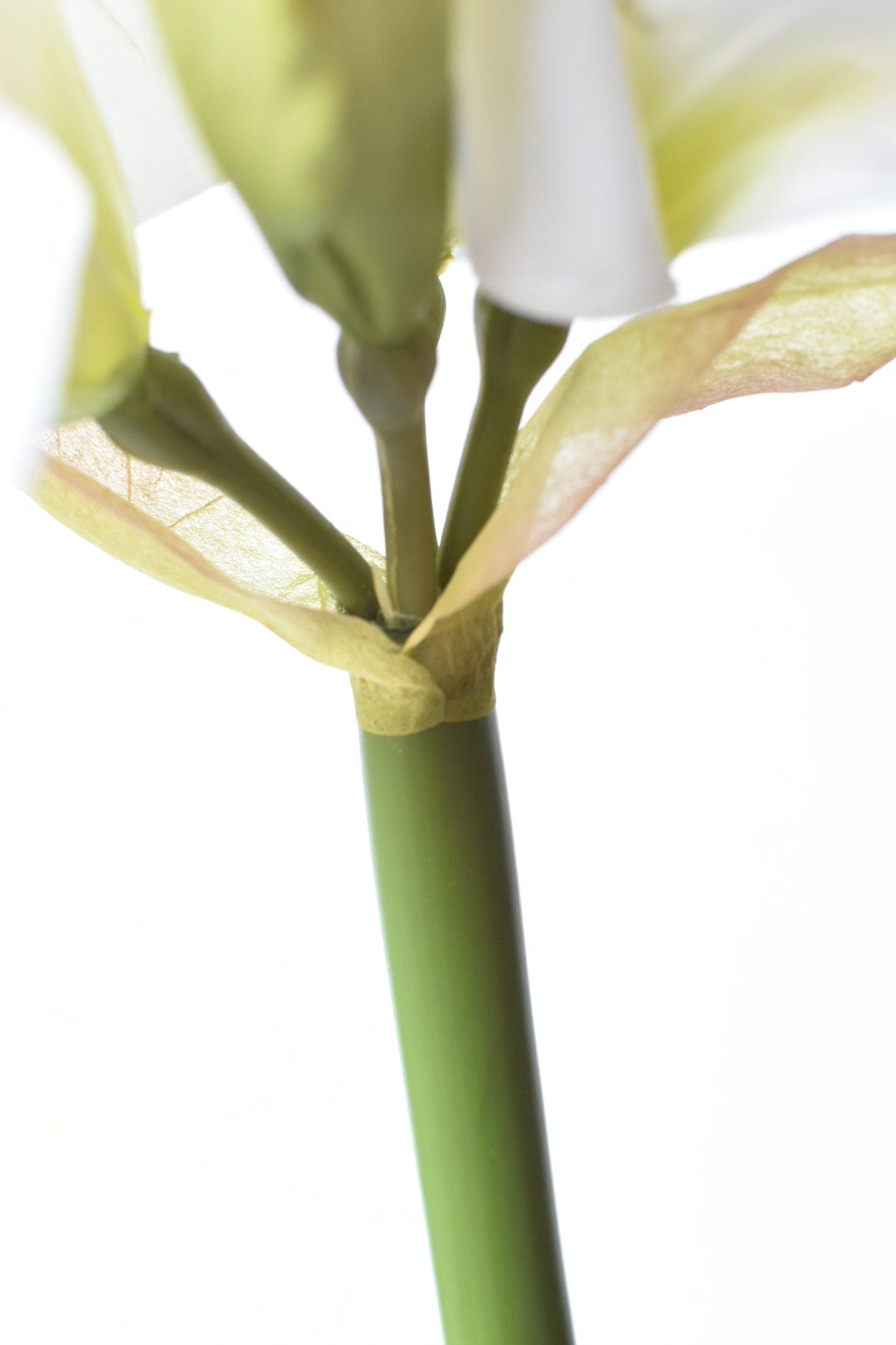 29" Faux White Amaryllis Stem