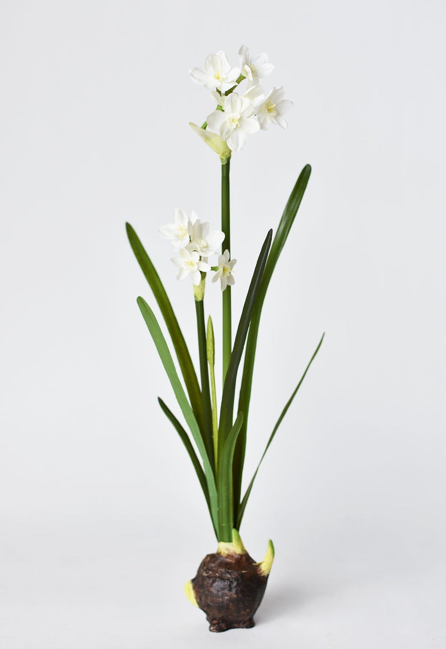 17.5" Faux Paperwhites w/ Bulb