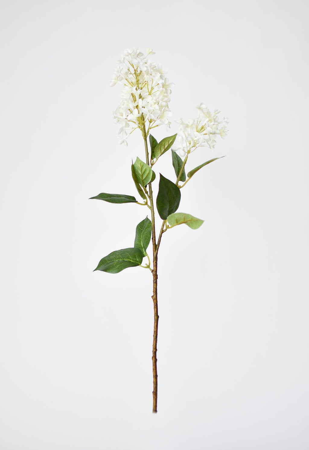 28.5" Faux White English Lilac Stem