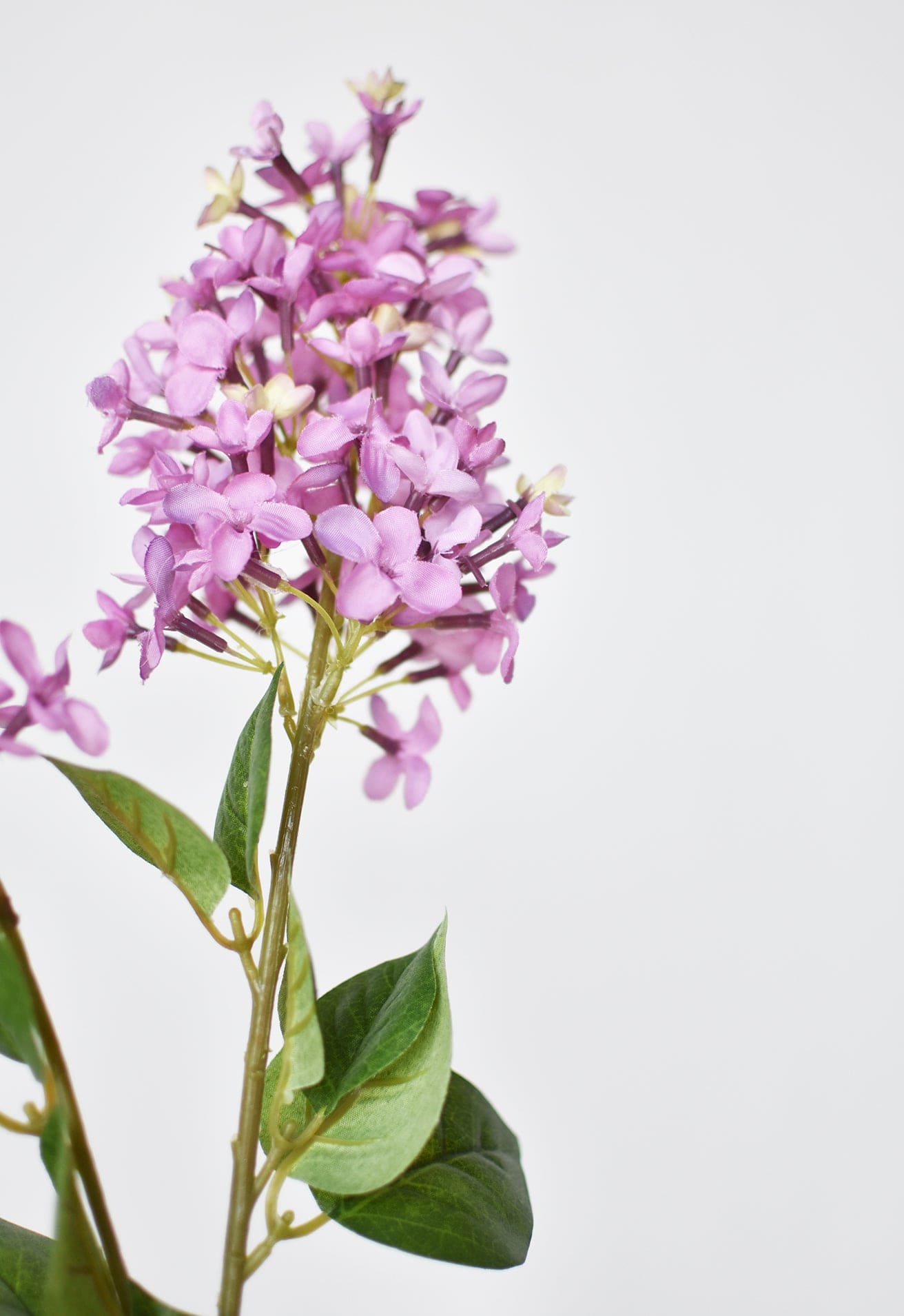 28.5" Faux Light Purple English Lilac Stem