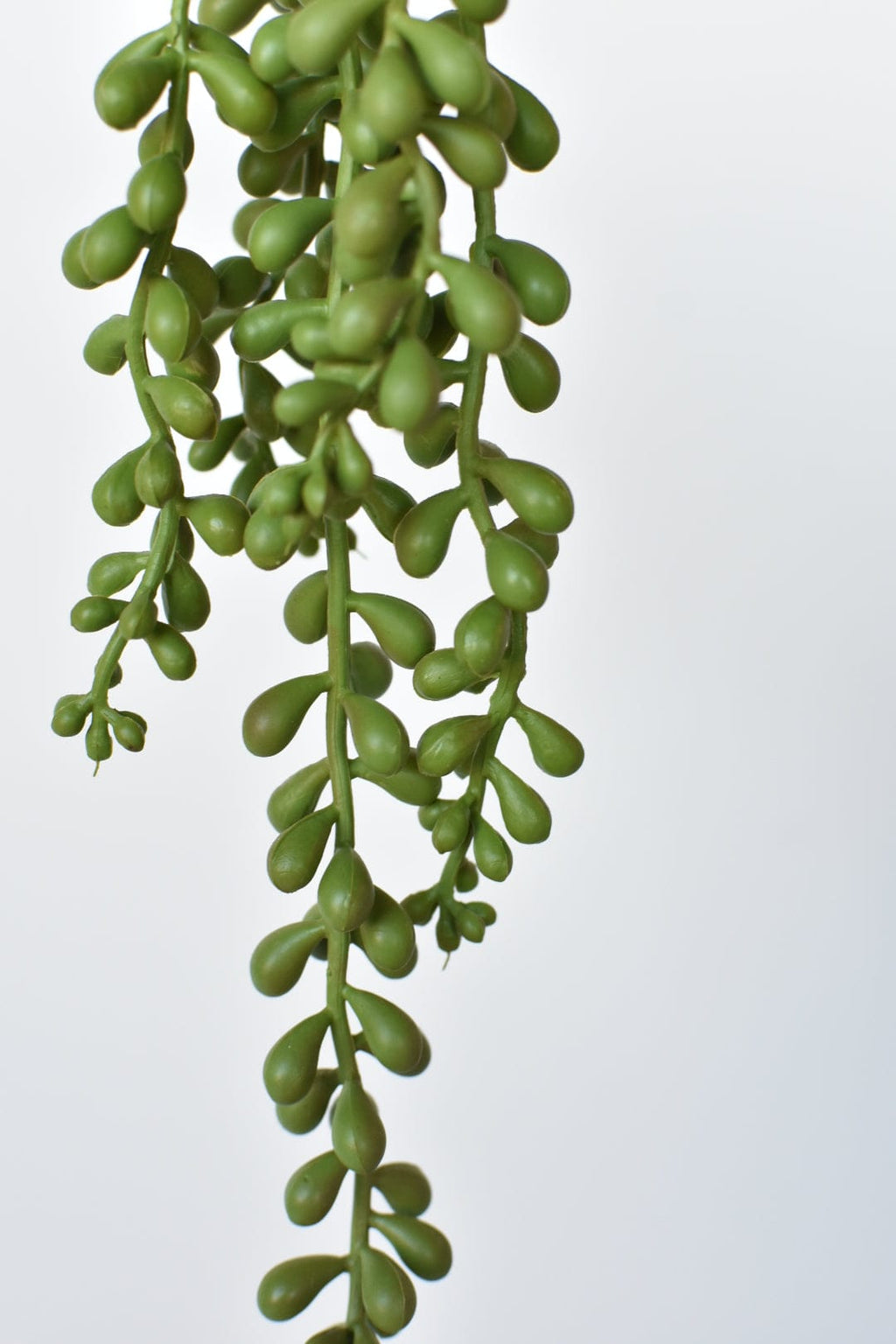 13" Faux String of Pearl Succulent Stem