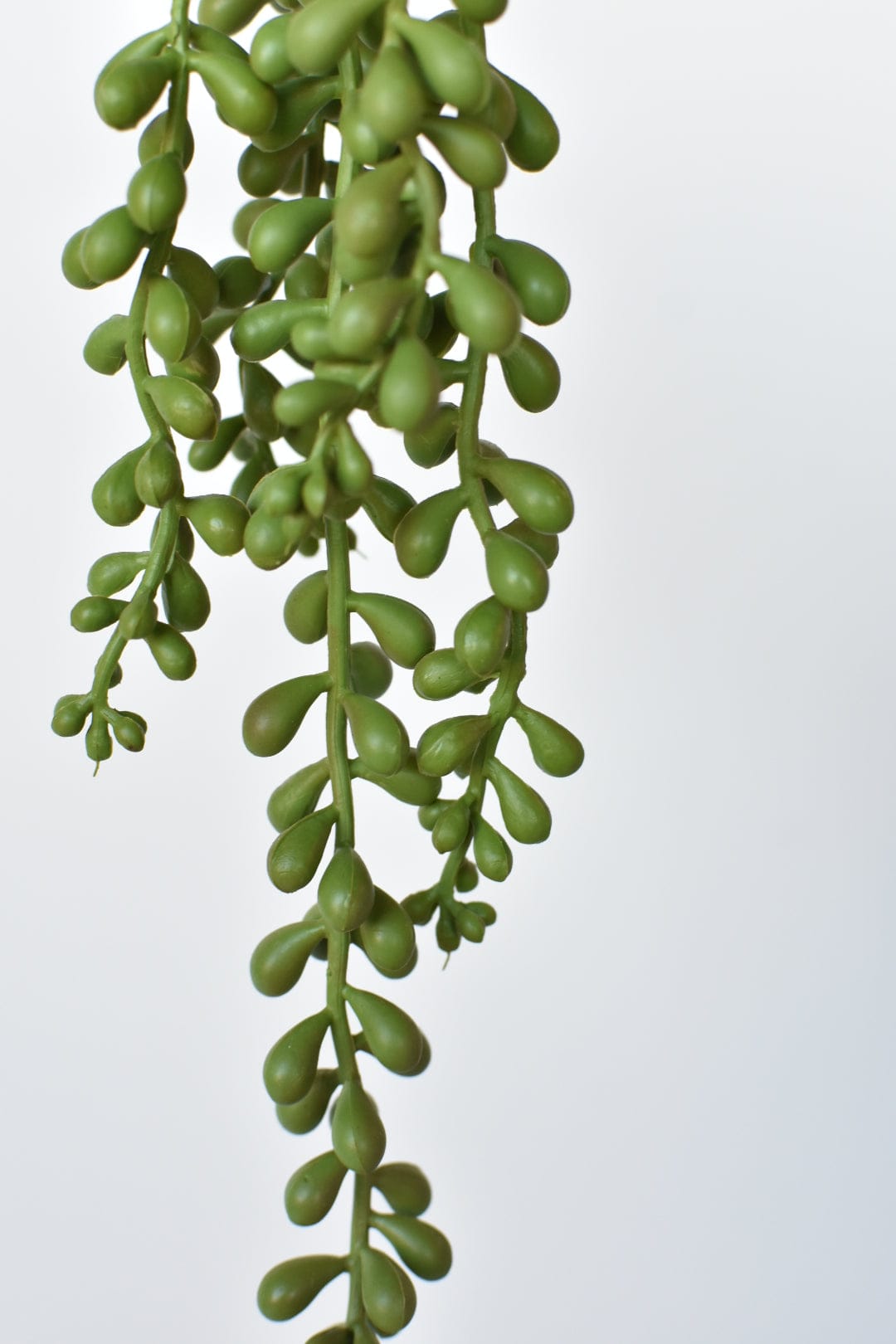 13" Faux String of Pearl Succulent Stem