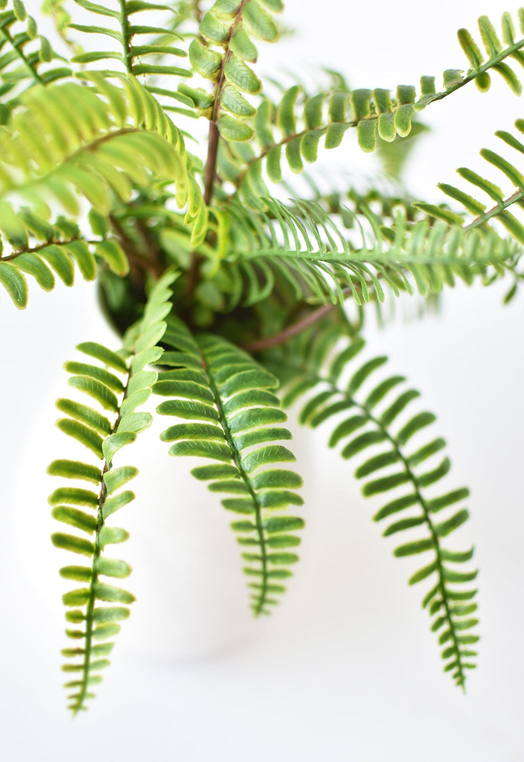 17" Faux Green Boston Fern Bush