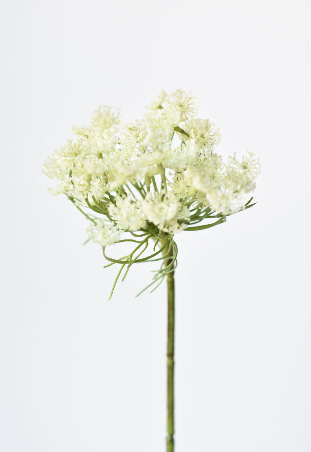 23" Faux White Queen Anne's Lace Stem