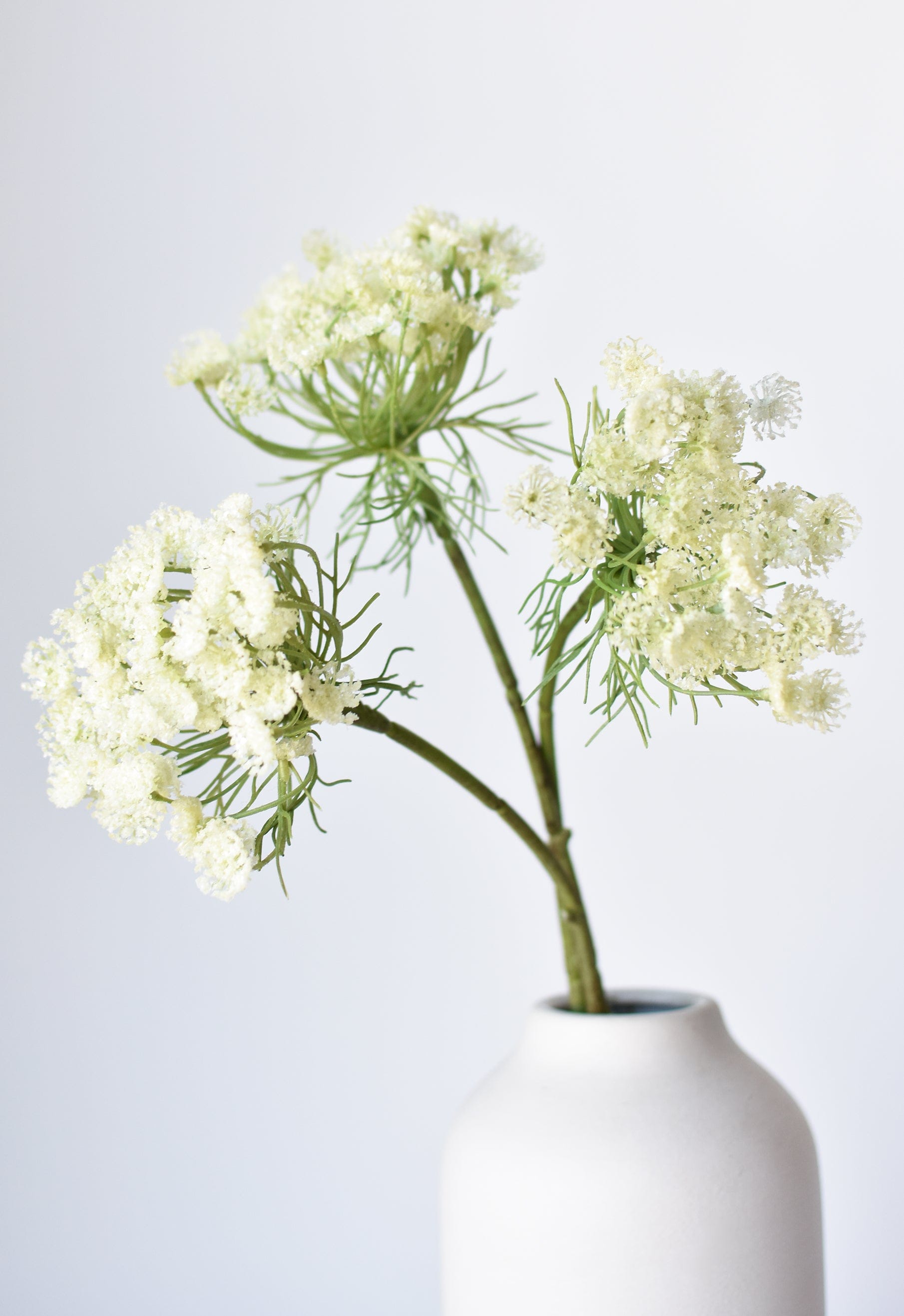 23" Faux White Queen Anne's Lace Stem