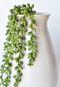 28" Faux String of Pearl Succulent Stem