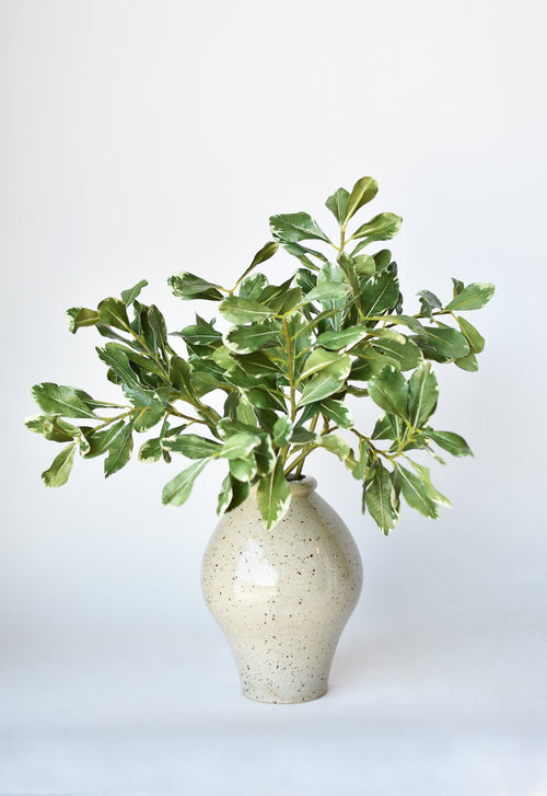 21.5" Faux Real Touch Variegated Green Pittosporum Spray Stem