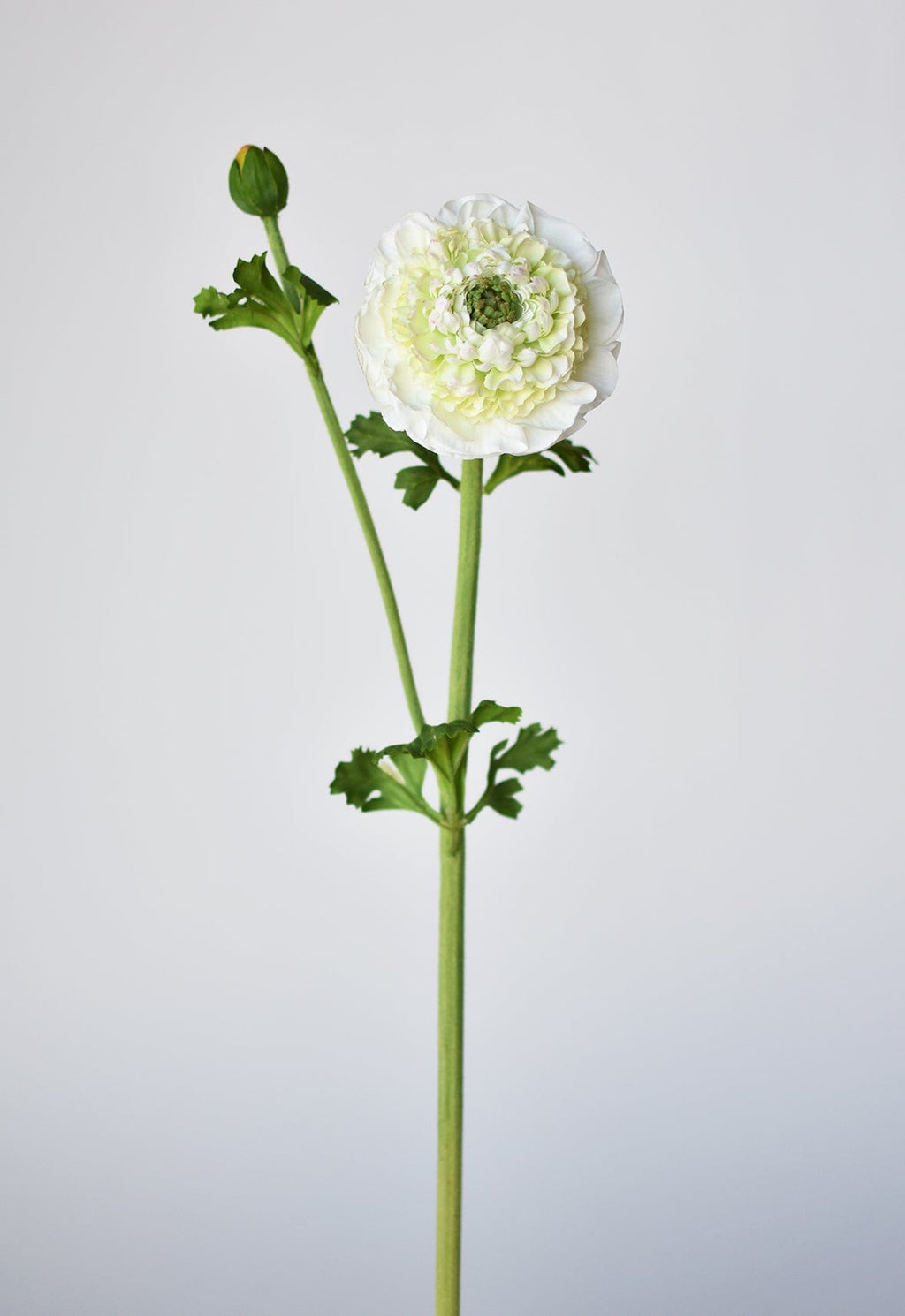 21" Faux Double Ruffled Ranunculus Stem White