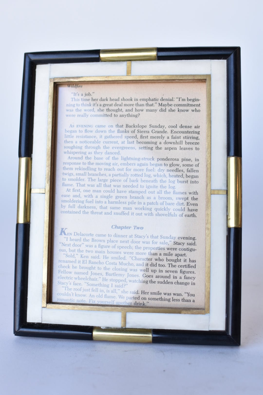 Mixed Bone & Brass Picture Frame