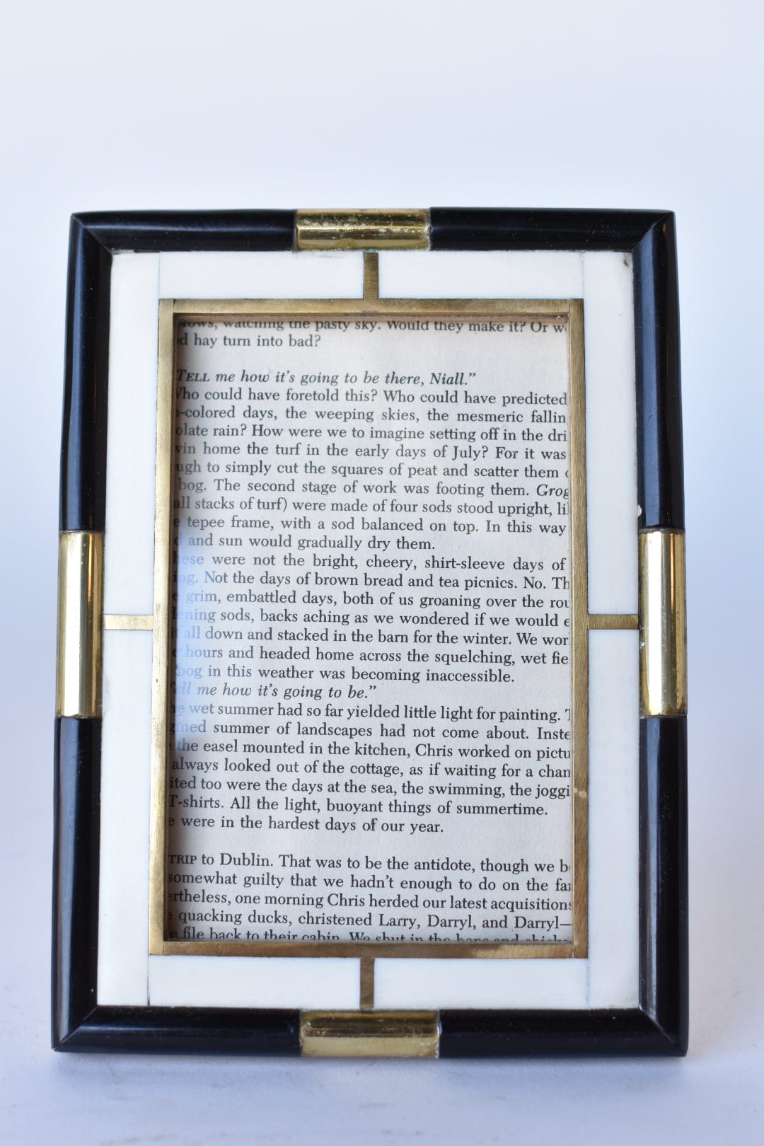 Mixed Bone & Brass Picture Frame