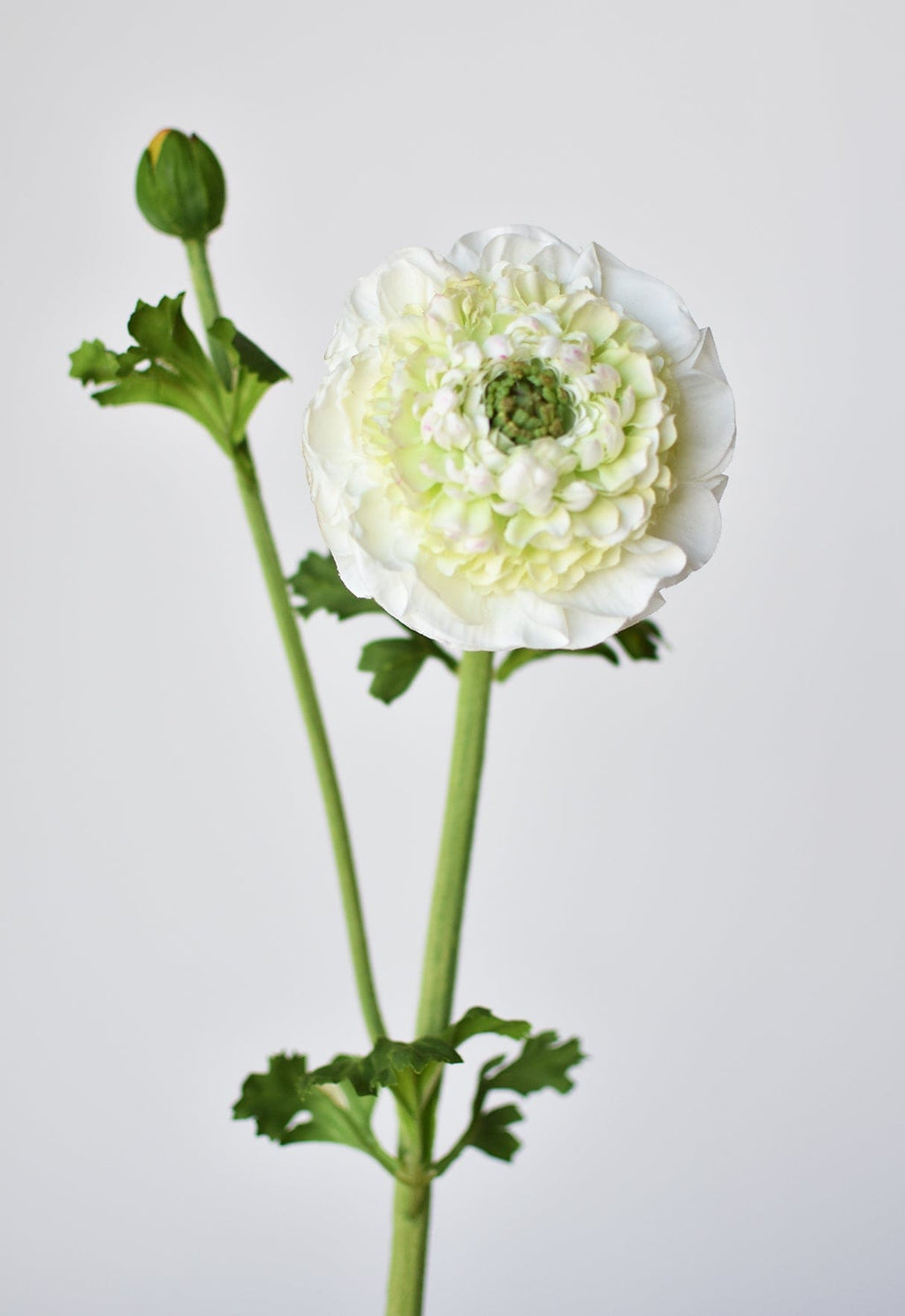 21" Faux Double Ruffled Ranunculus Stem White
