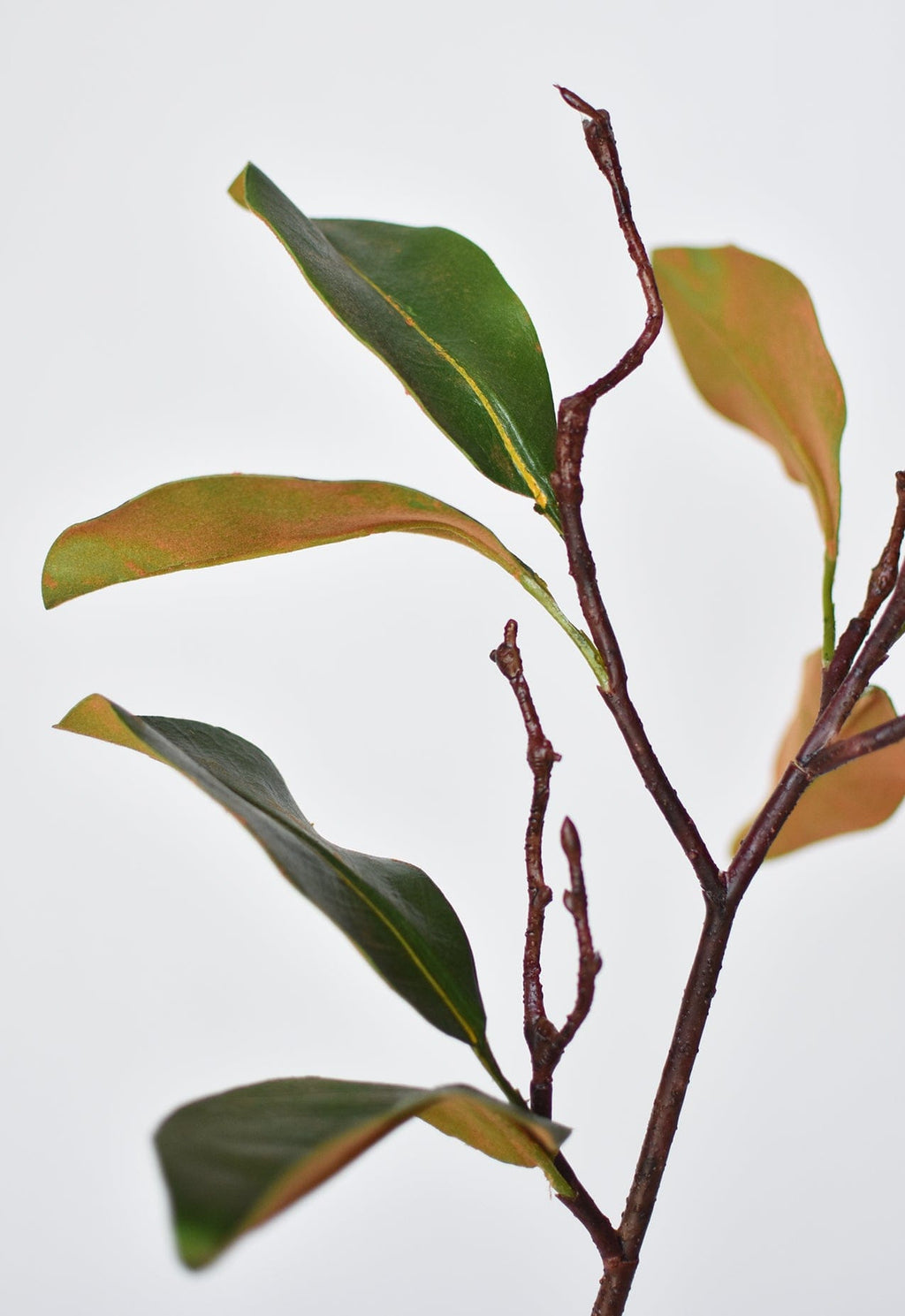 26" Faux Magnolia Leaf Branch Stem