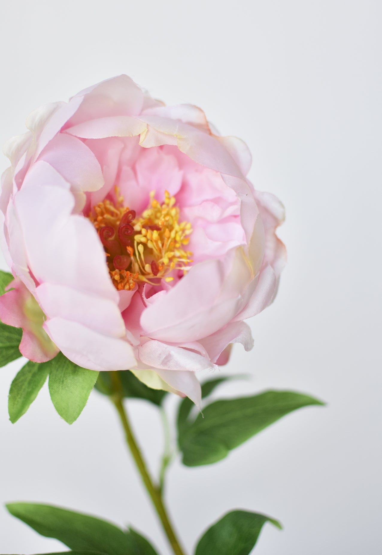 22" Faux Pink Peony Stem