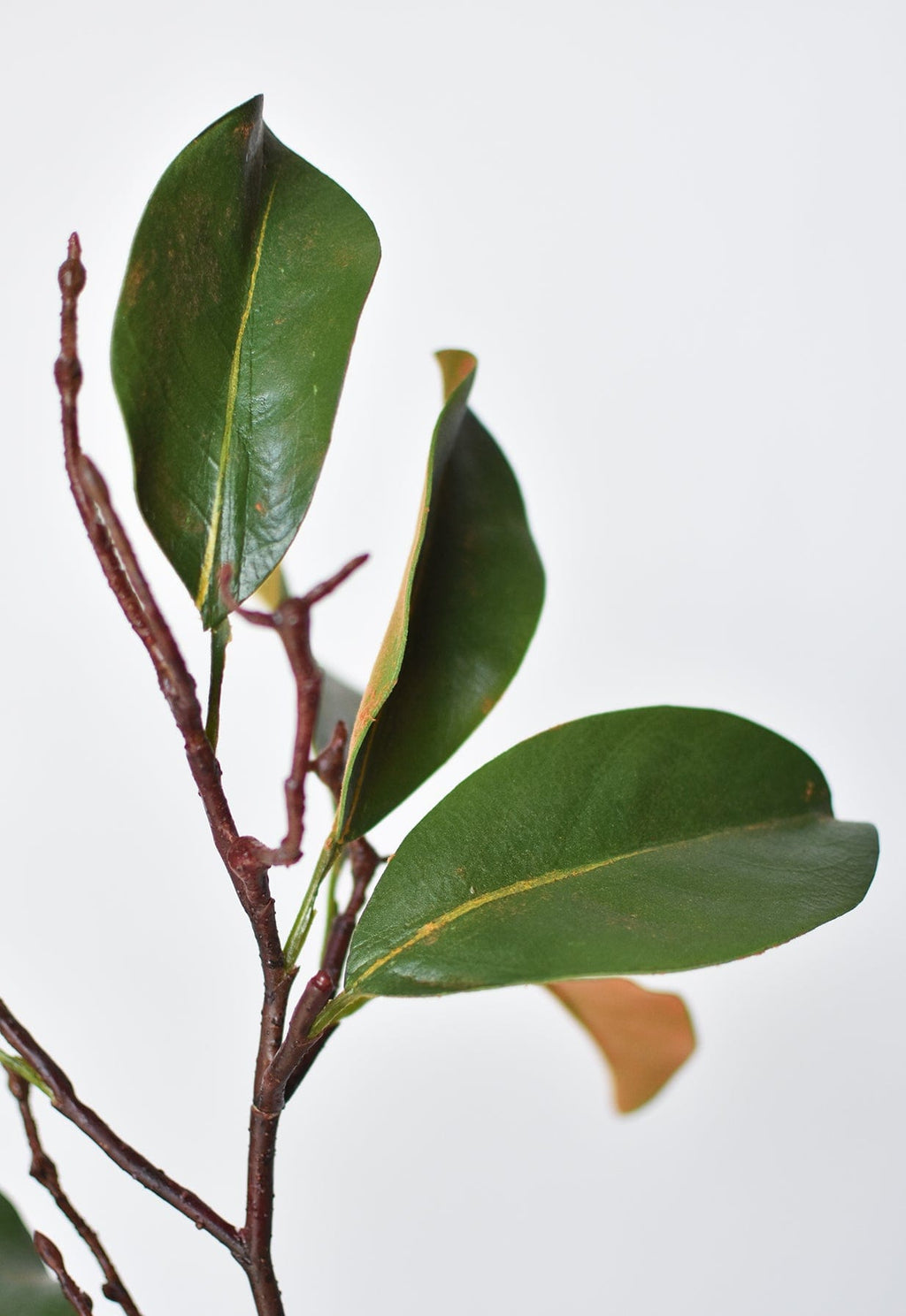 26" Faux Magnolia Leaf Branch Stem