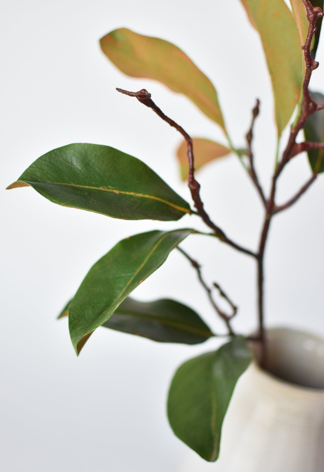 26" Faux Magnolia Leaf Branch Stem