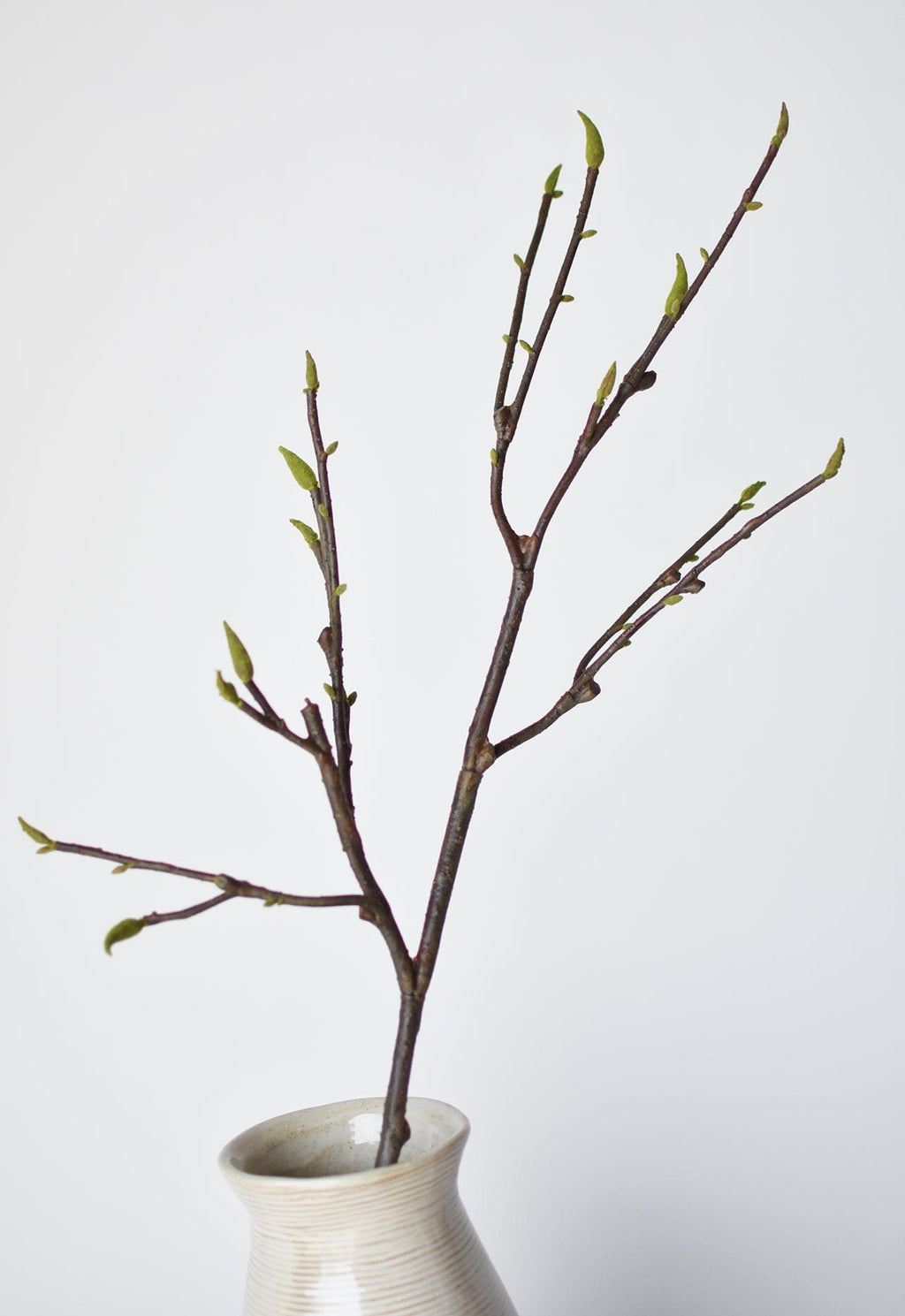 36" Faux Magnolia Tree Branch Stem