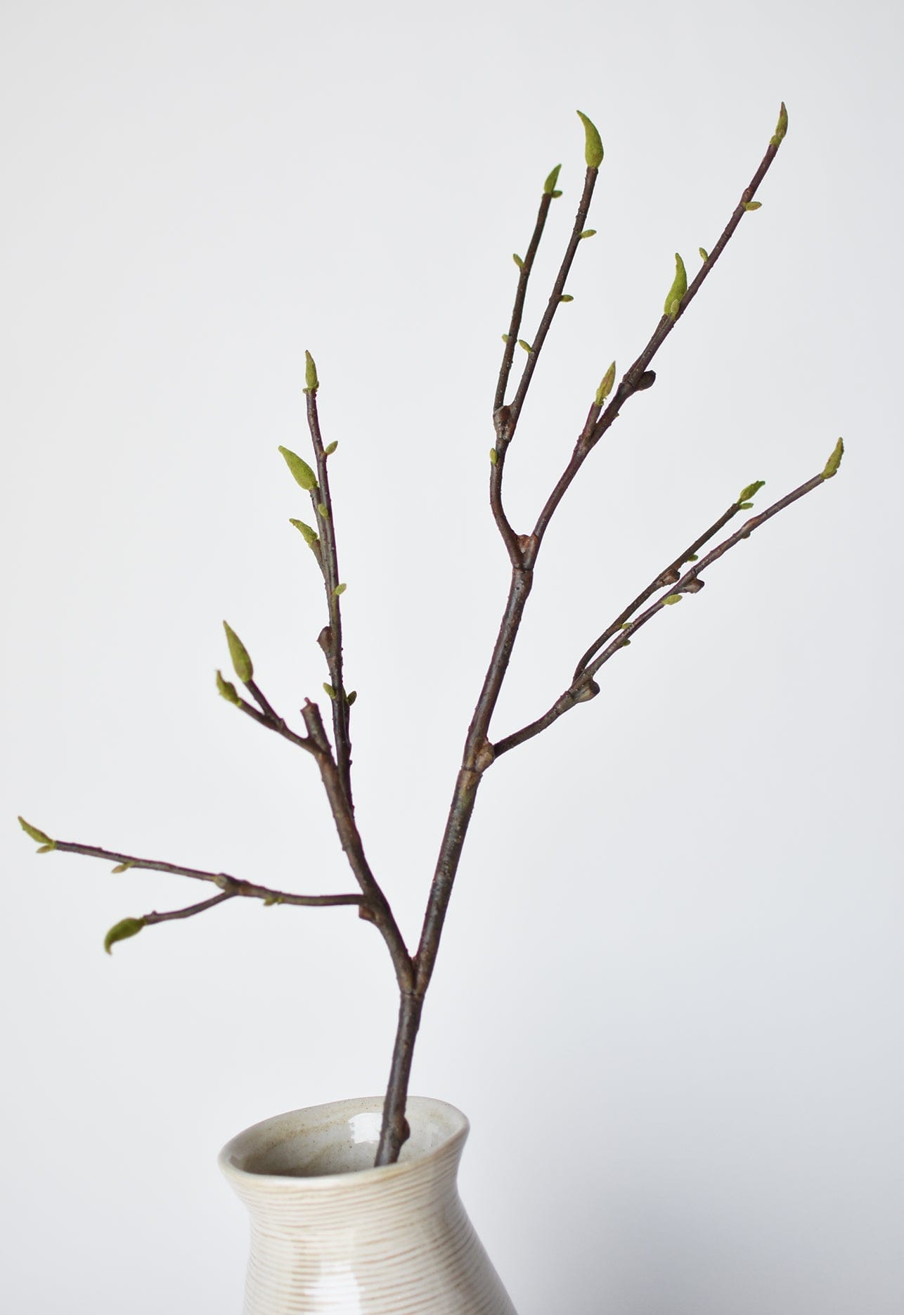 36" Faux Magnolia Tree Branch Stem