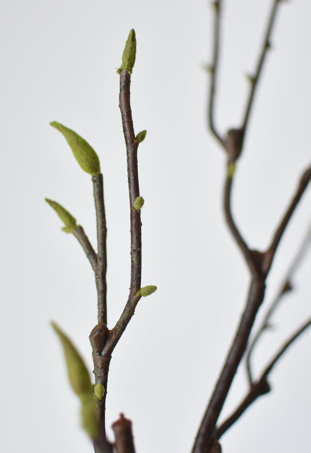36" Faux Magnolia Tree Branch Stem