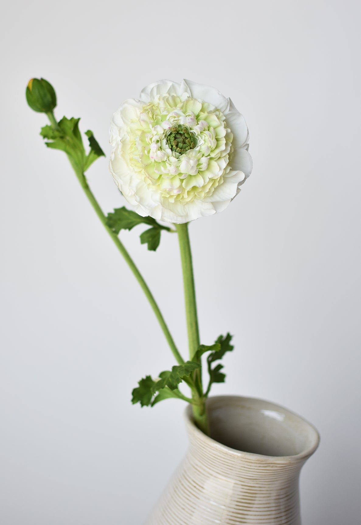 21" Faux Double Ruffled Ranunculus Stem White