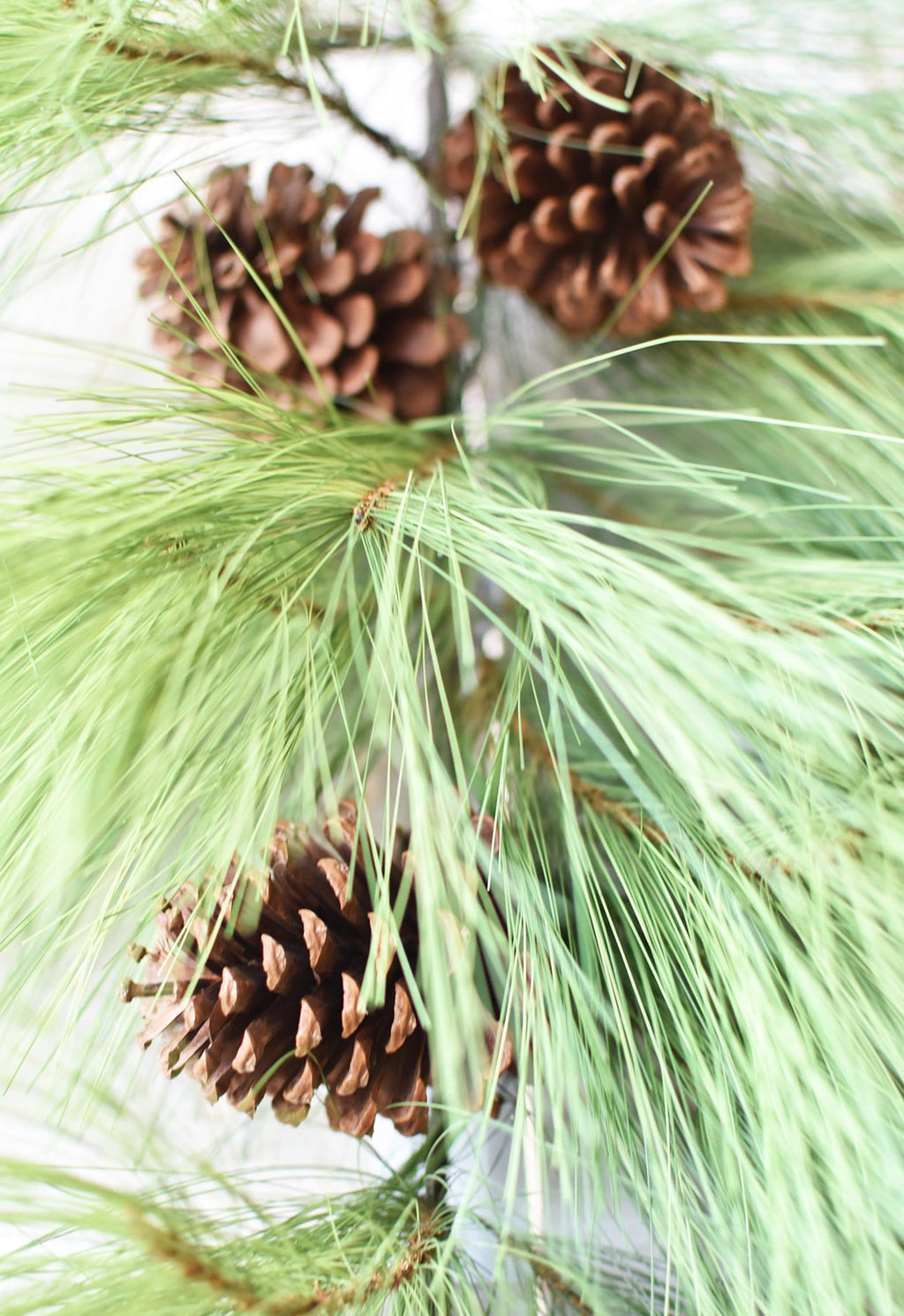 40" Faux Long Needle Pine Swag (w/o bow)