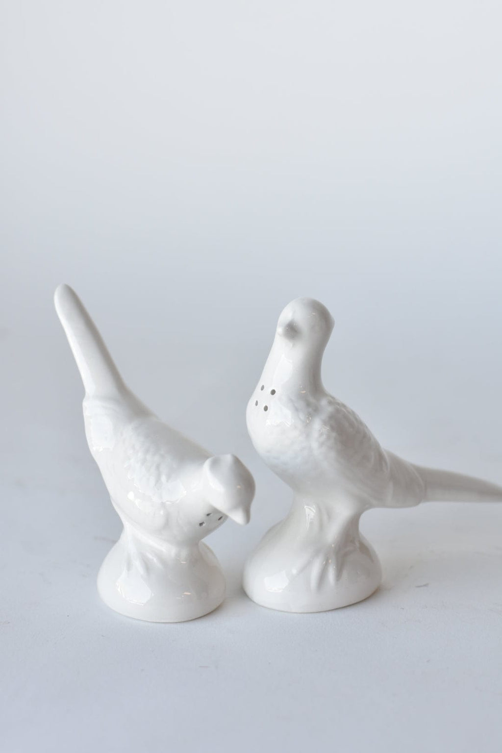 Ceramic Pheasant Salt & Pepper Shakers